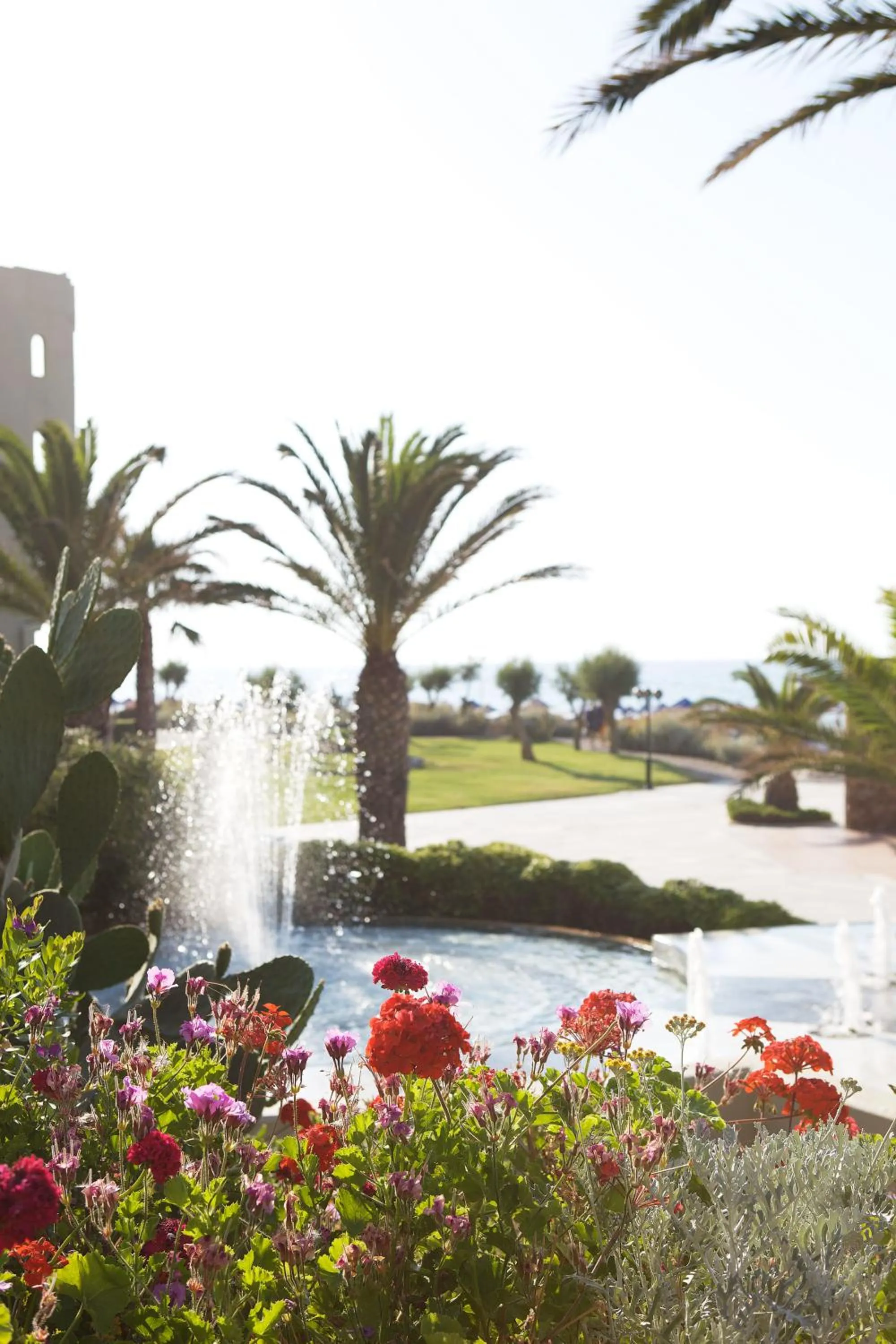 Garden in Aquila Rithymna Beach