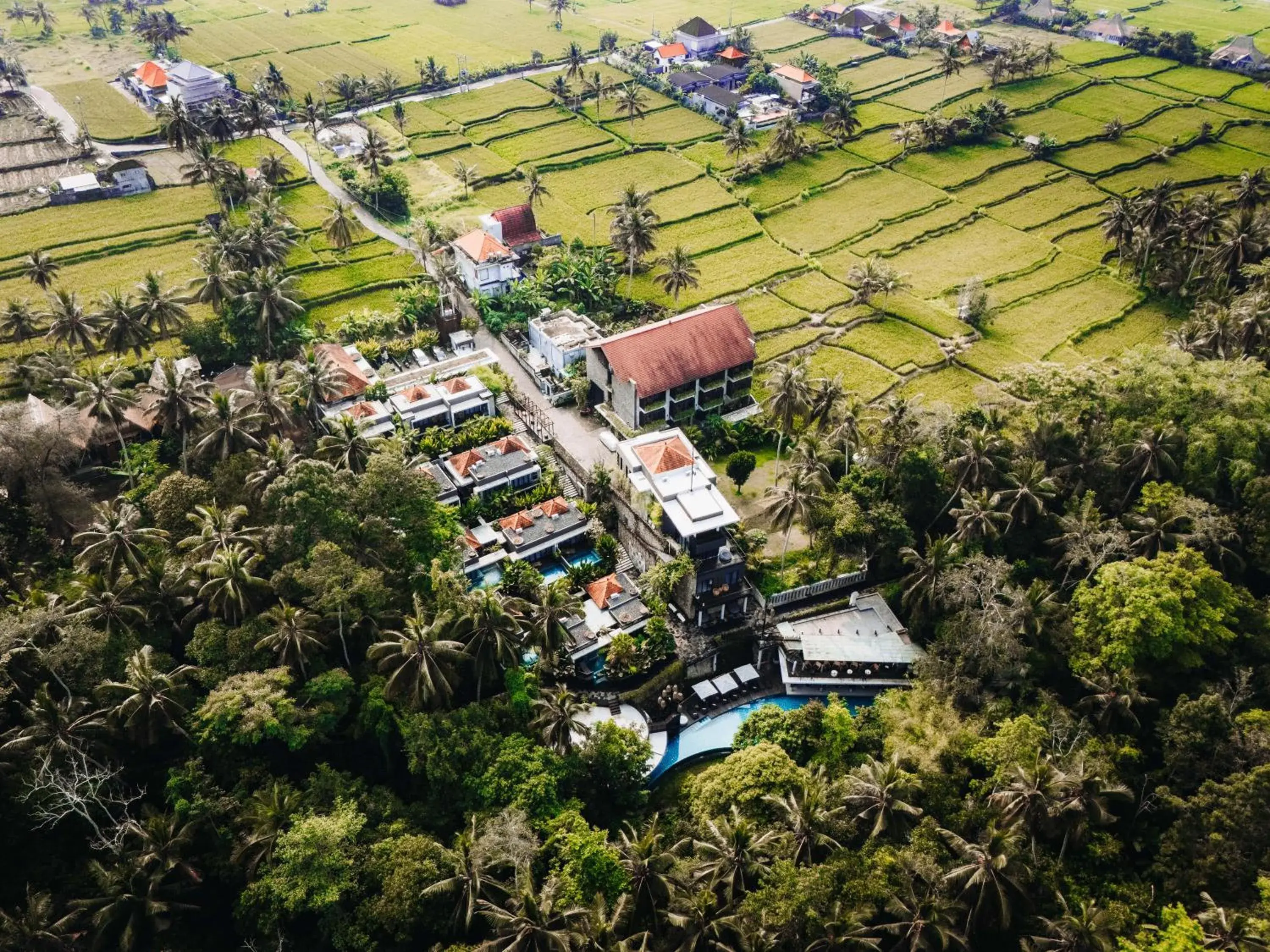 Property building in The Ning Resort Ubud Property building in The Ning Resort Ubud