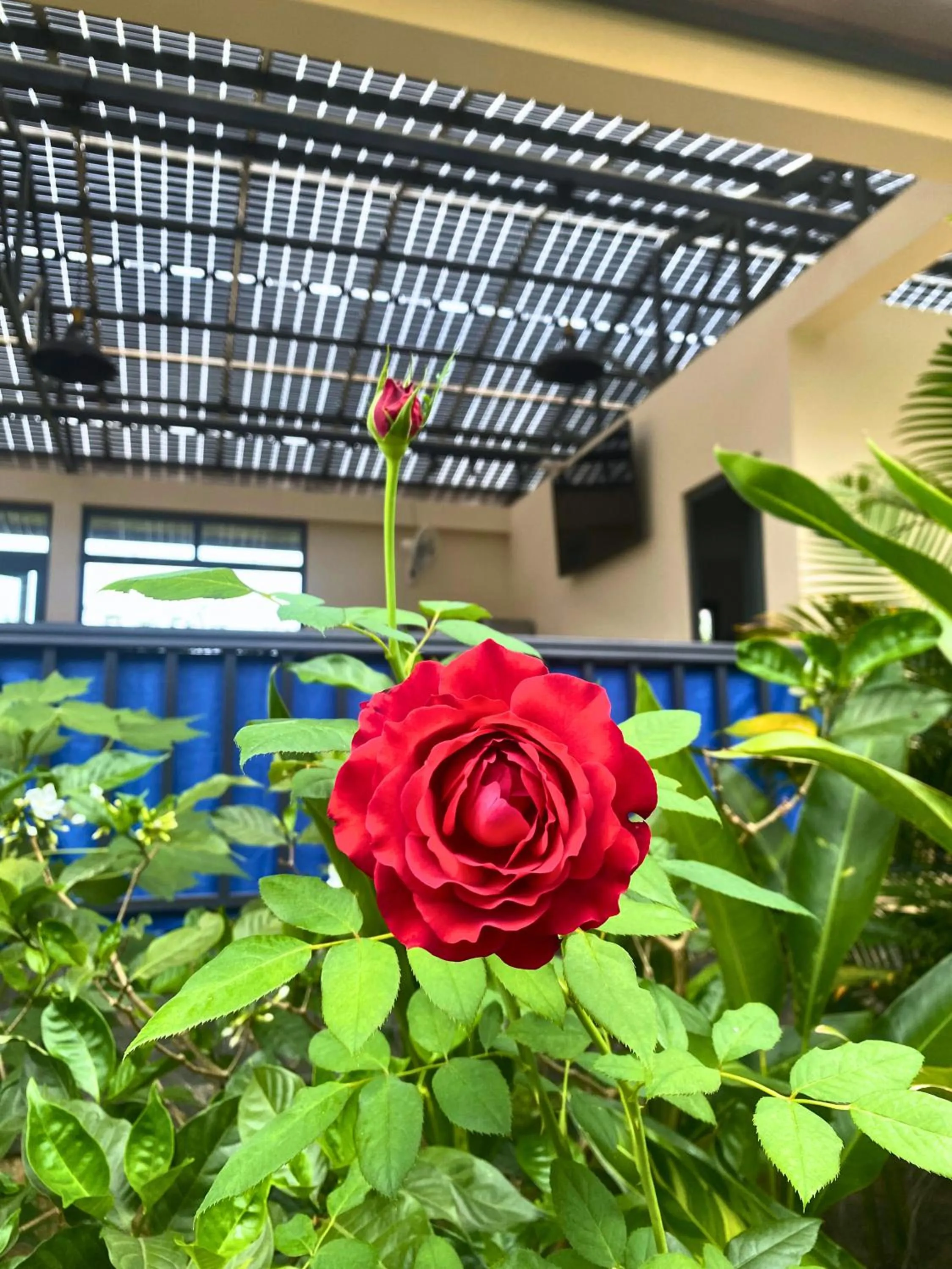 Restaurant/places to eat in LAM BUNGALOW Resort & Spa