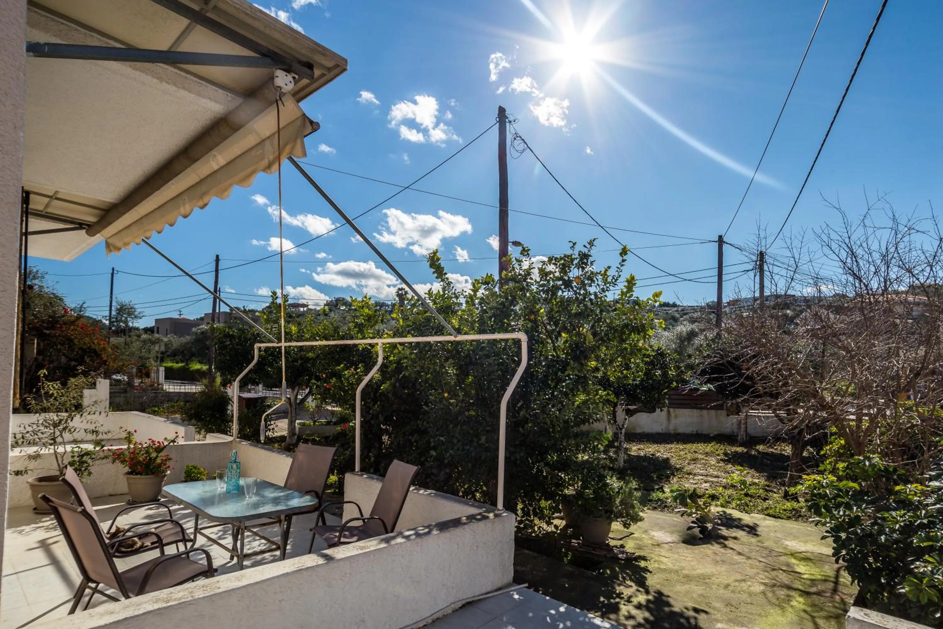 Garden in Sunny Sofi Studios