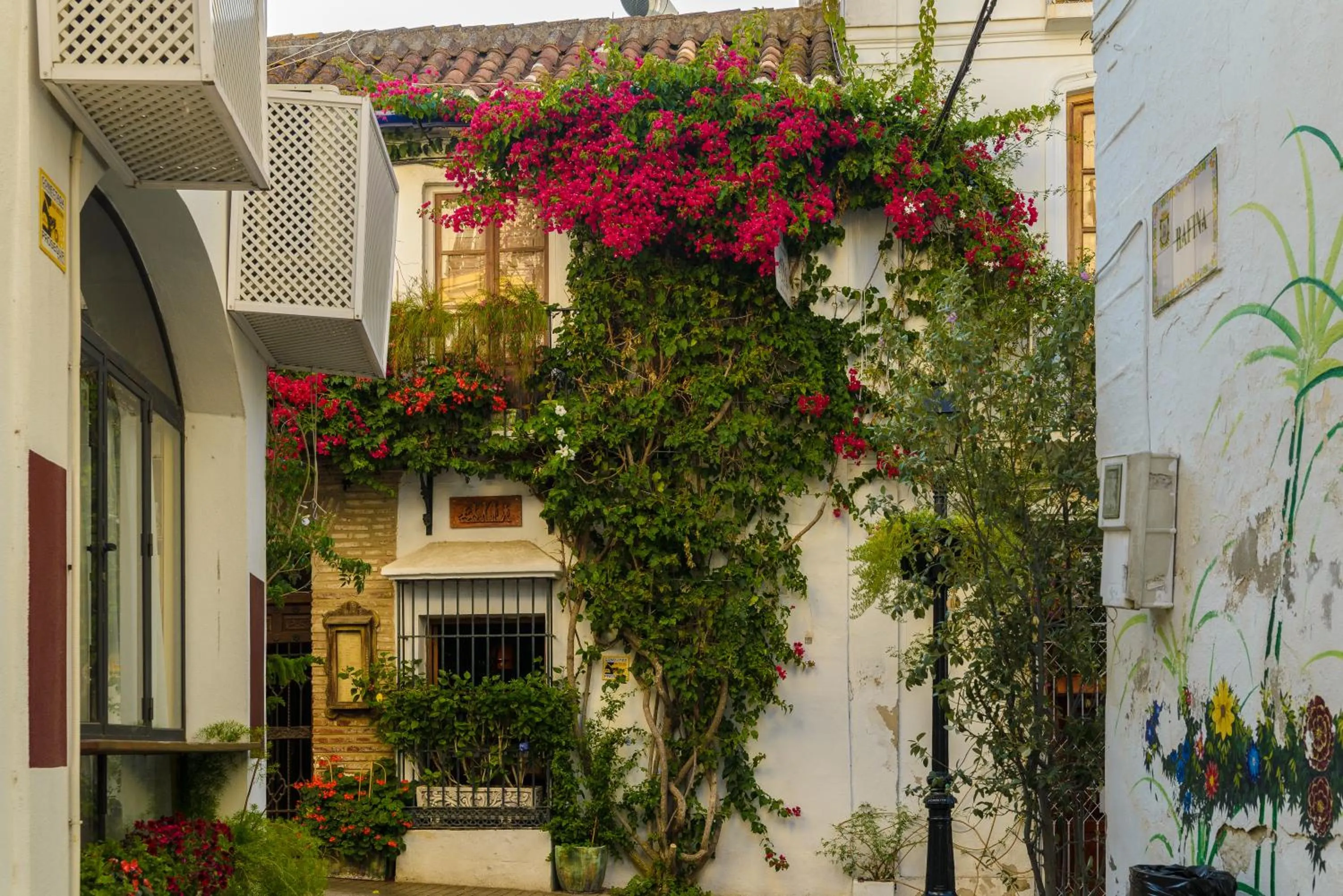 Other in Pensión Aduar