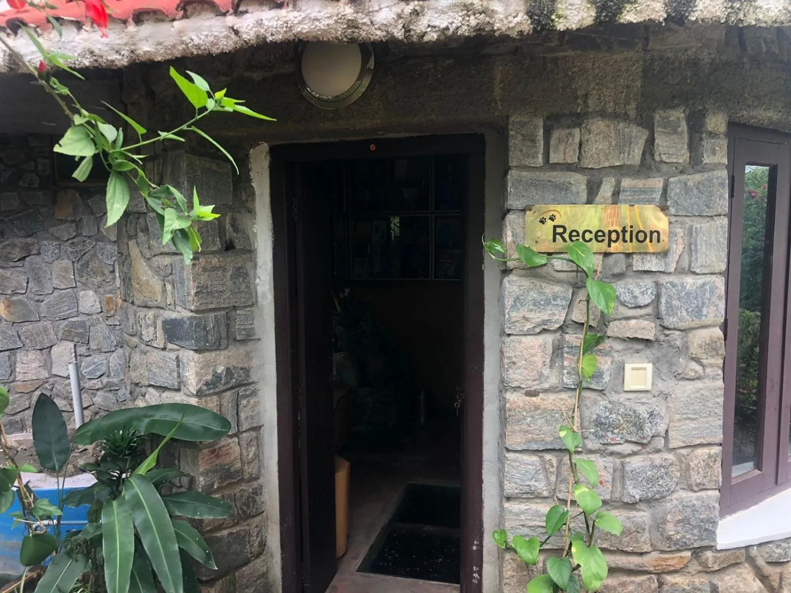 Lobby or reception in THE TIGER PAW RESORT