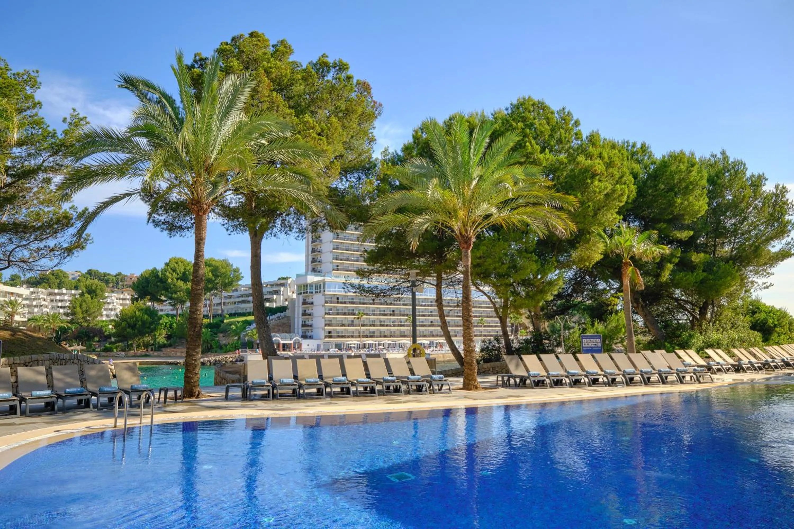 Swimming pool in Occidental Cala Viñas