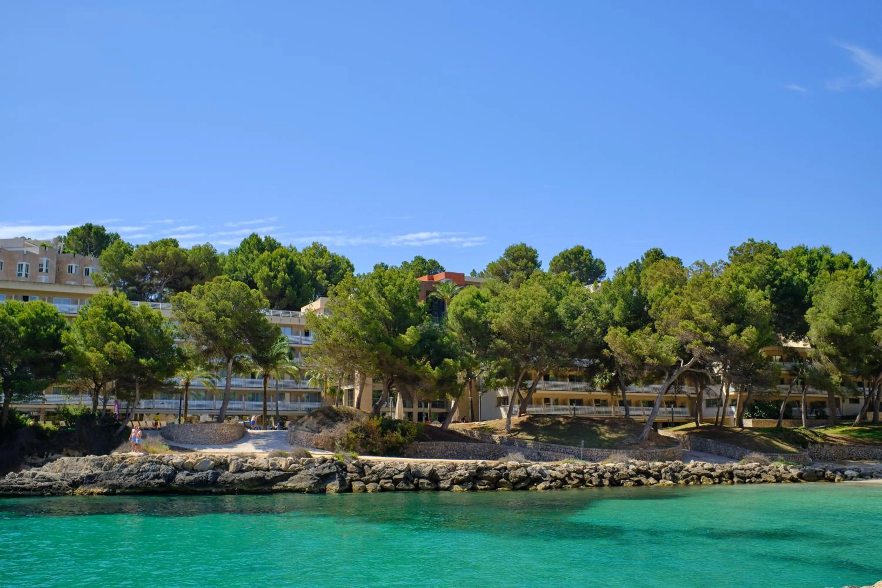 Beach in Occidental Cala Viñas