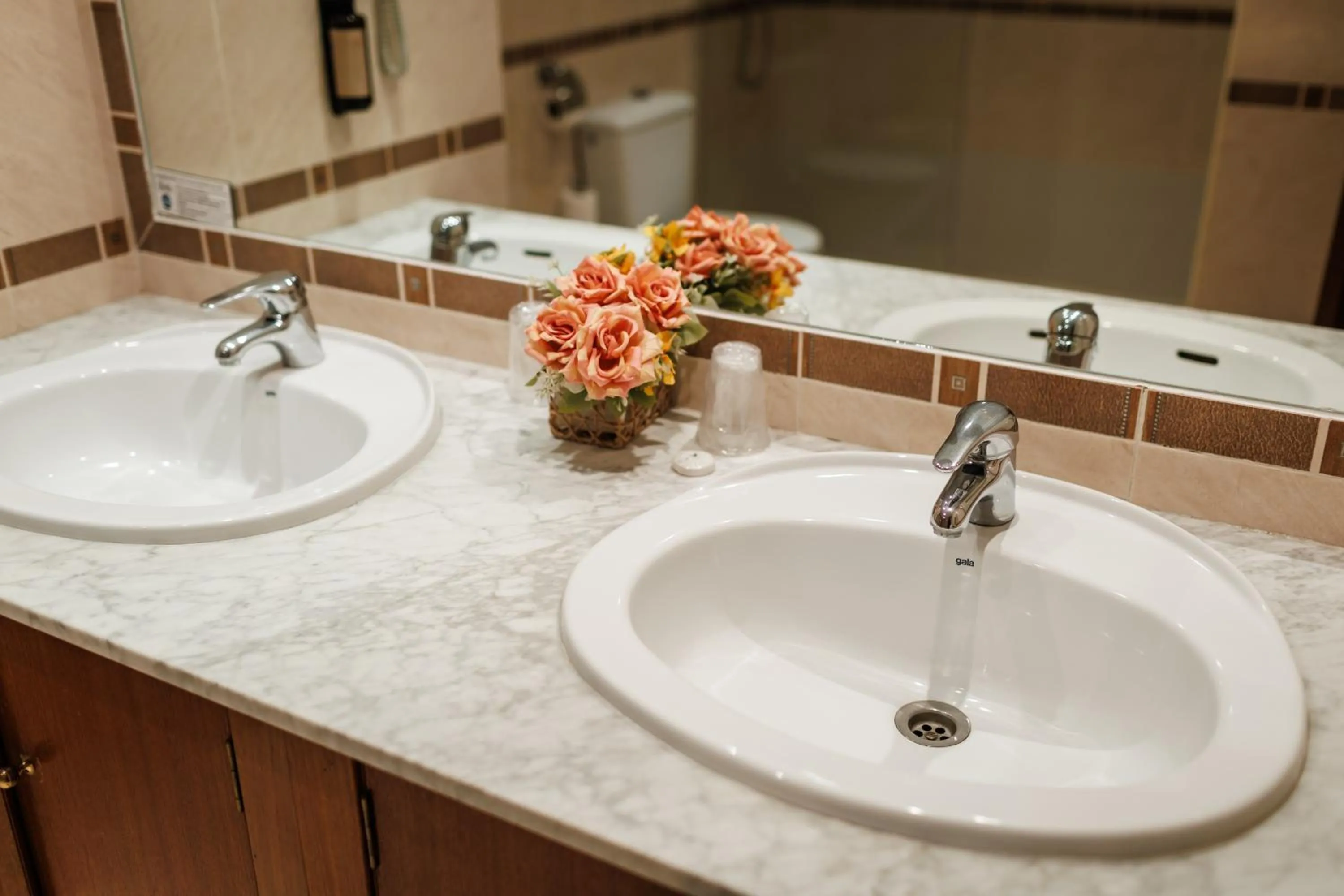 Toilet in Hotel Acosta Vetonia