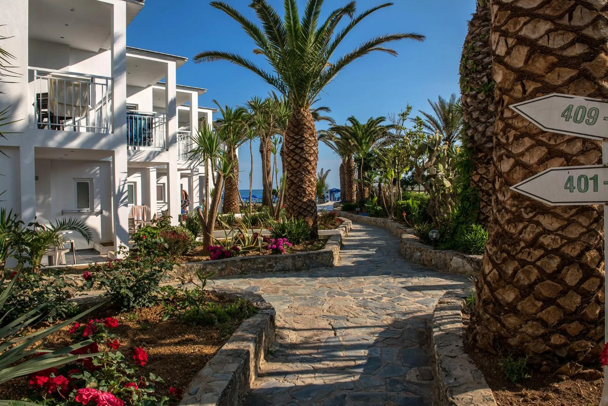 Garden in Happy Days Beach Hotel