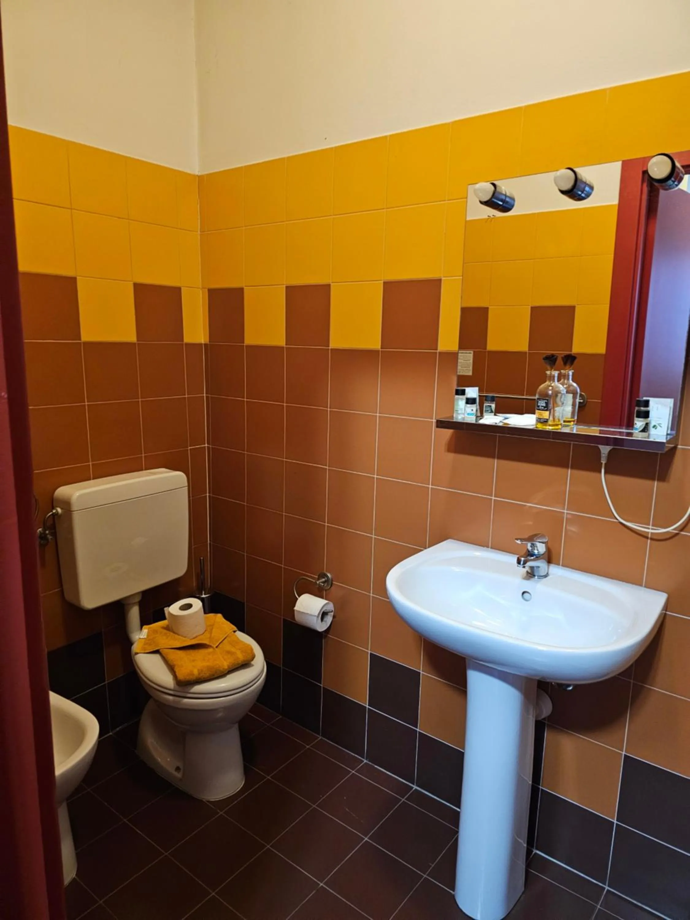 Bathroom in Hotel Arcadia