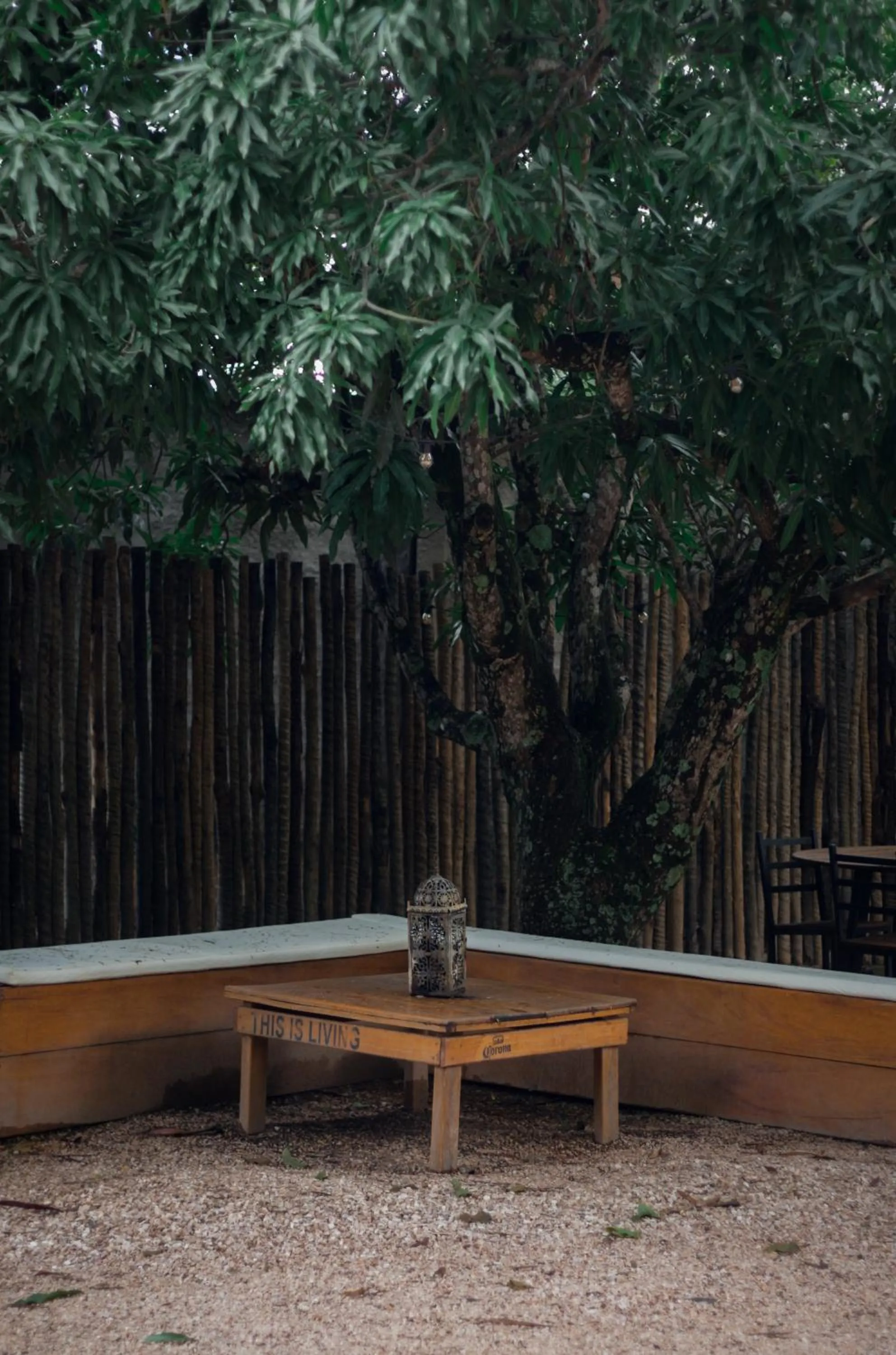 Garden in Baguá Bangalôs