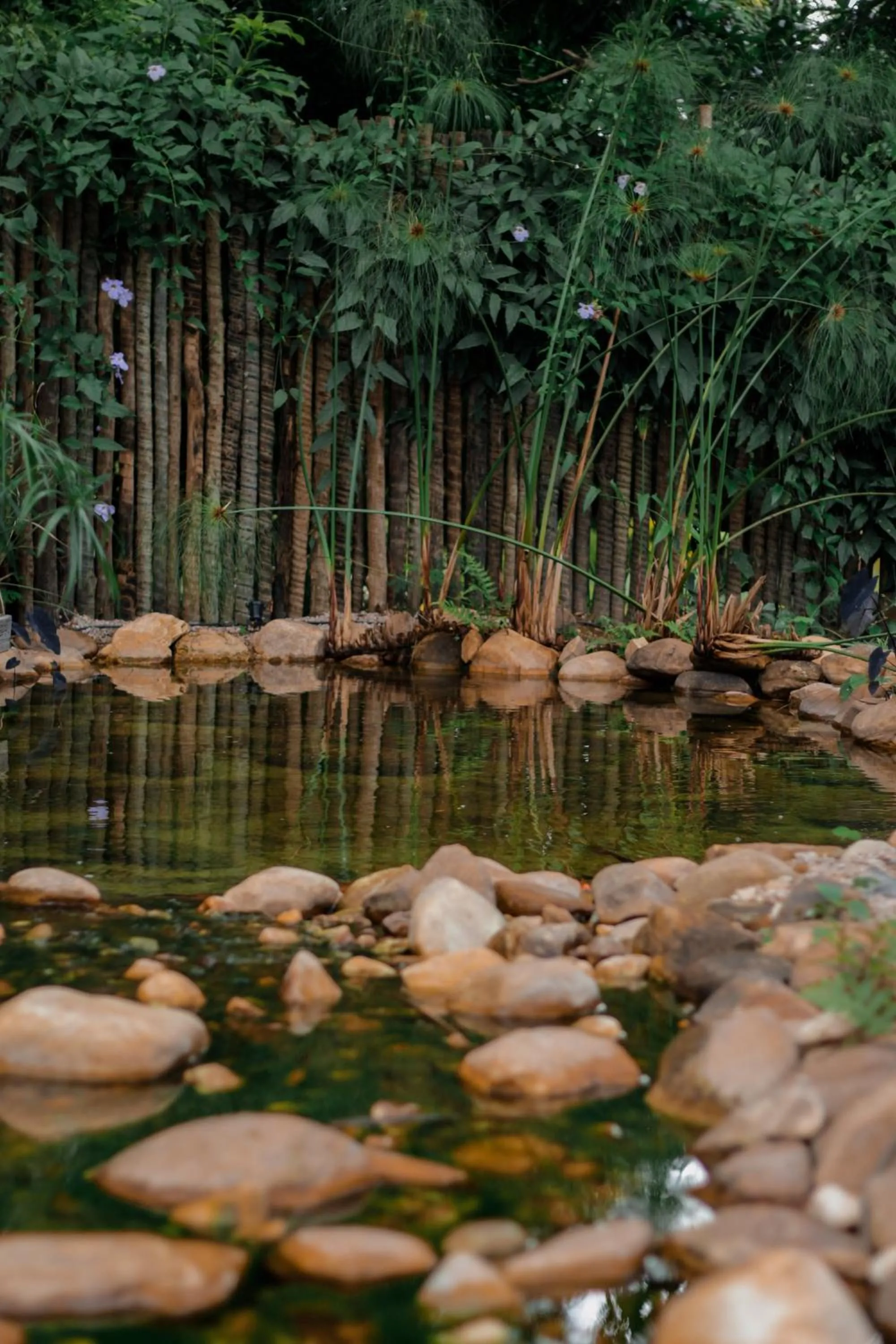 Garden in Baguá Bangalôs