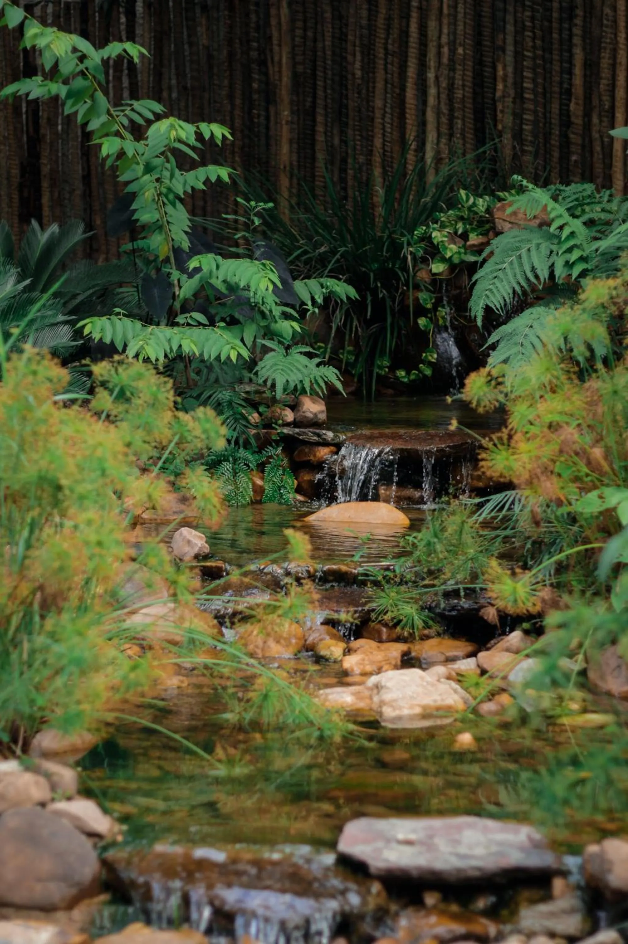 Garden in Baguá Bangalôs