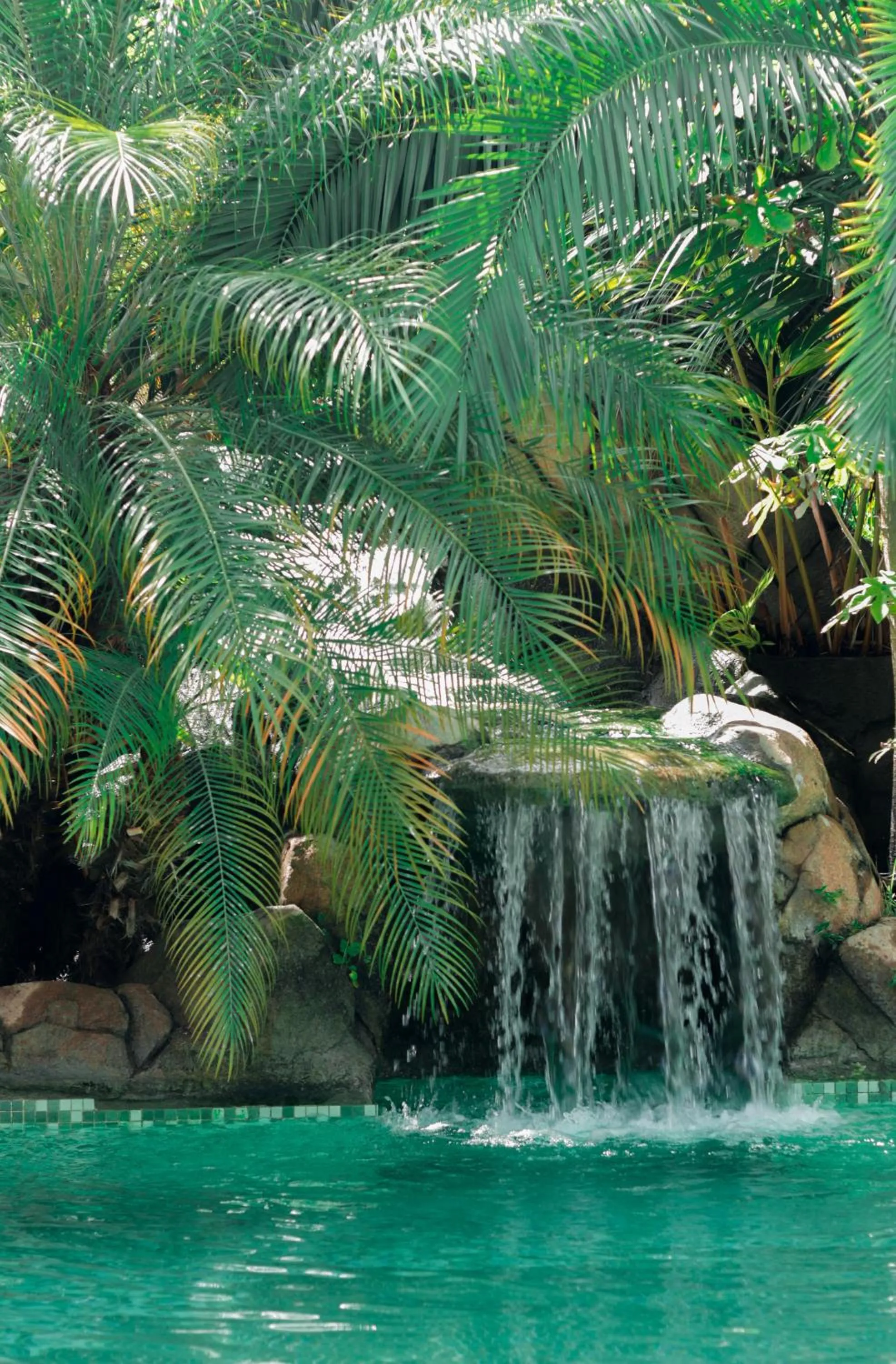 Swimming pool in Baguá Bangalôs