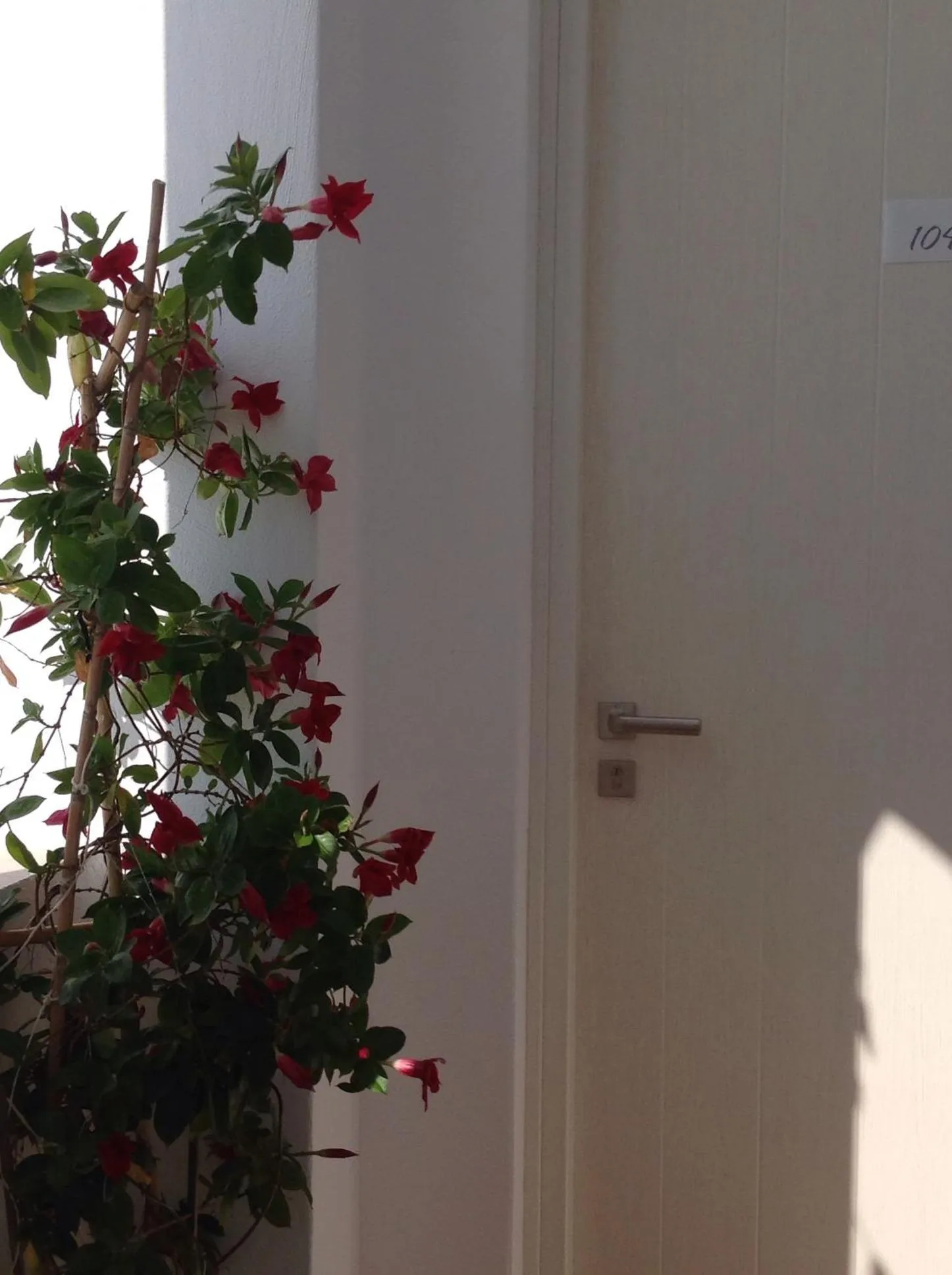 Facade/entrance in Panorama Hotel