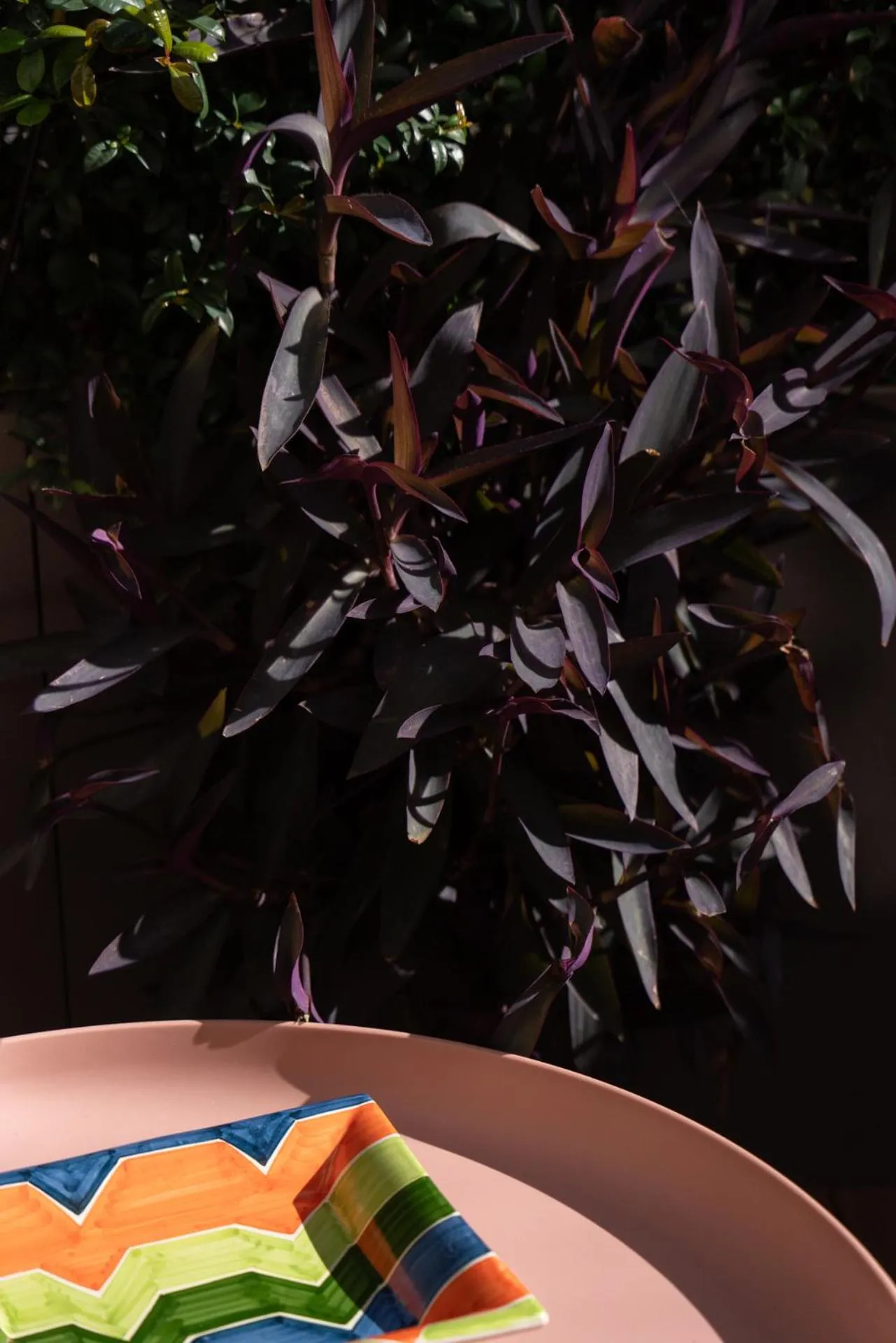 Balcony/Terrace in Agra Suites