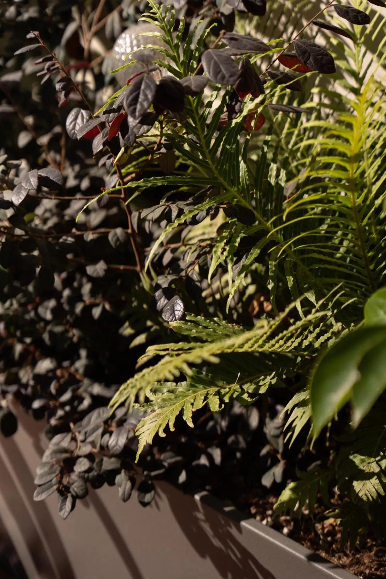 Balcony/Terrace in Agra Suites