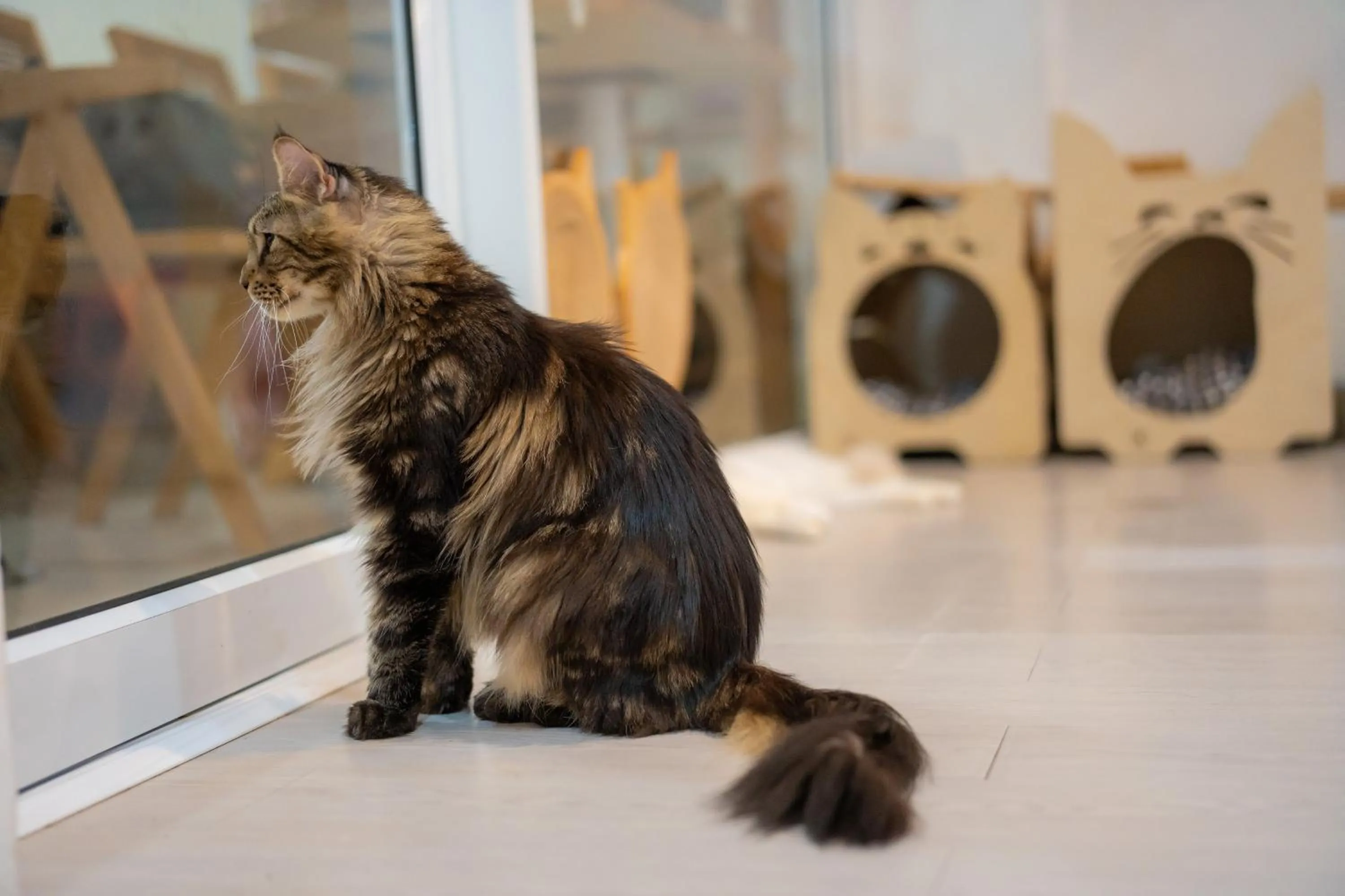 Patong Beach Side Hotel