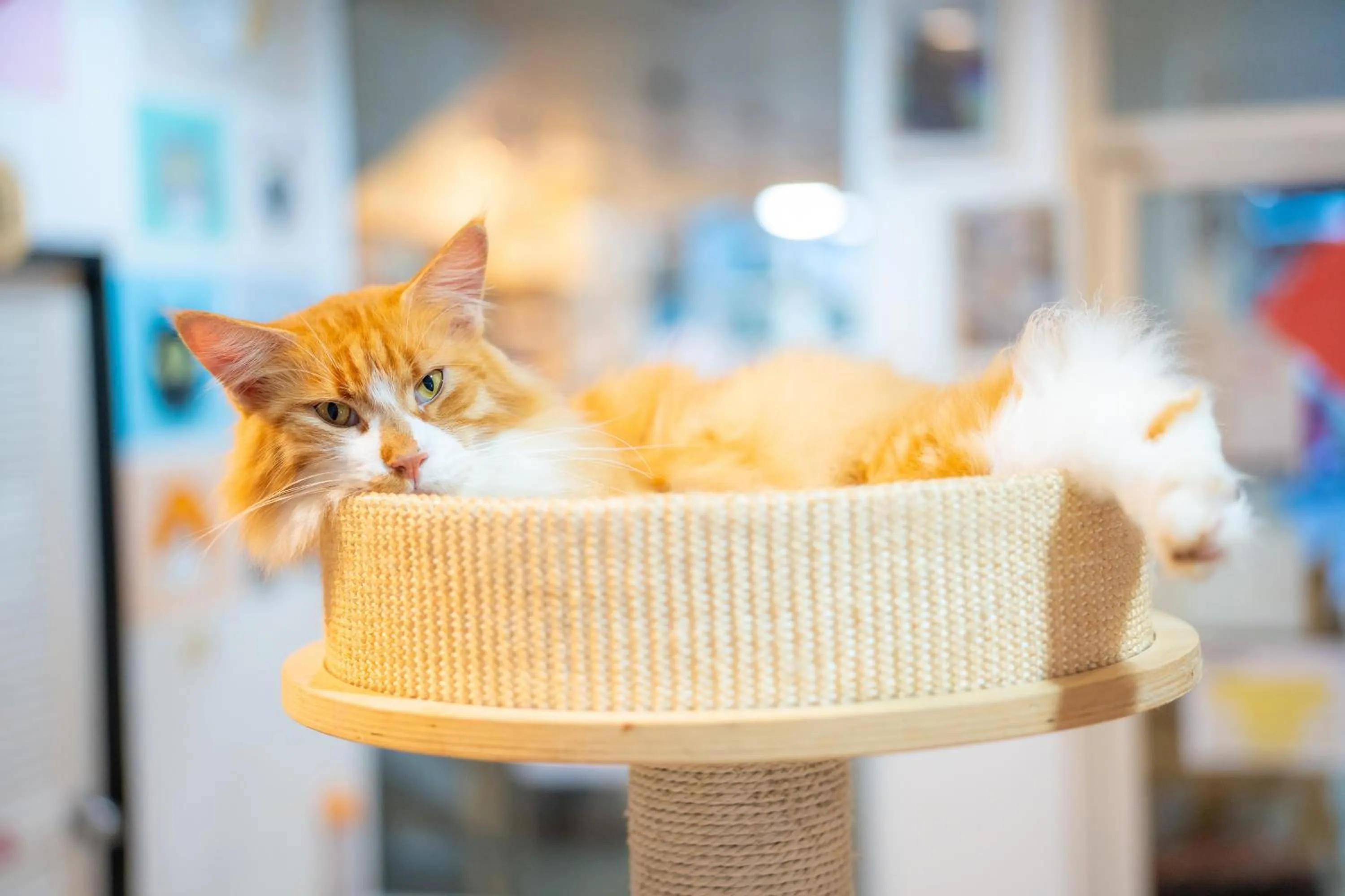 Patong Beach Side Hotel