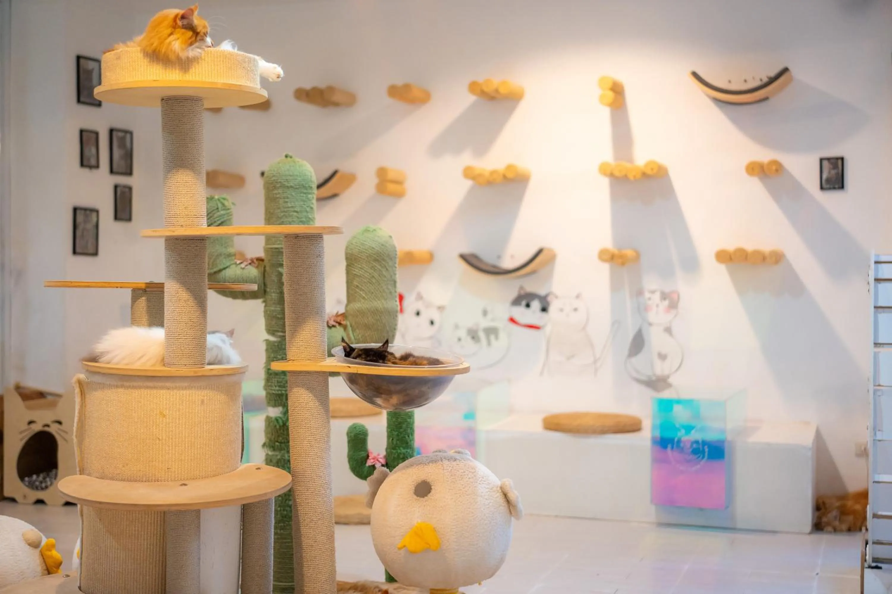 Patong Beach Side Hotel