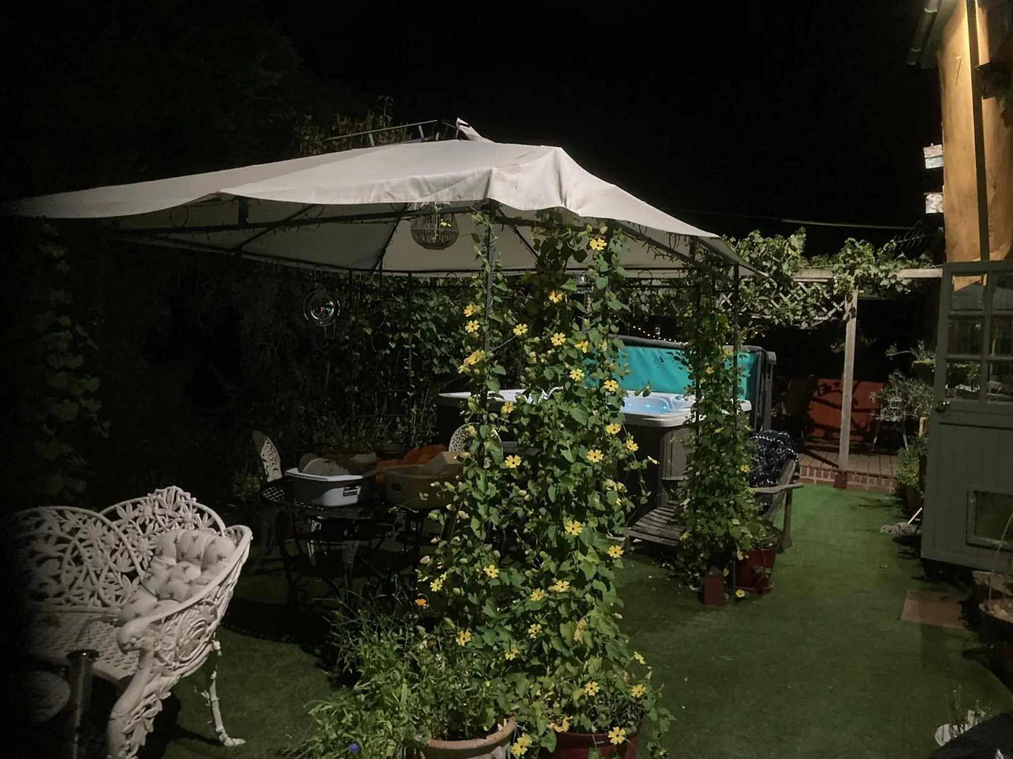 Garden in The Bridge Street Historic Guest House