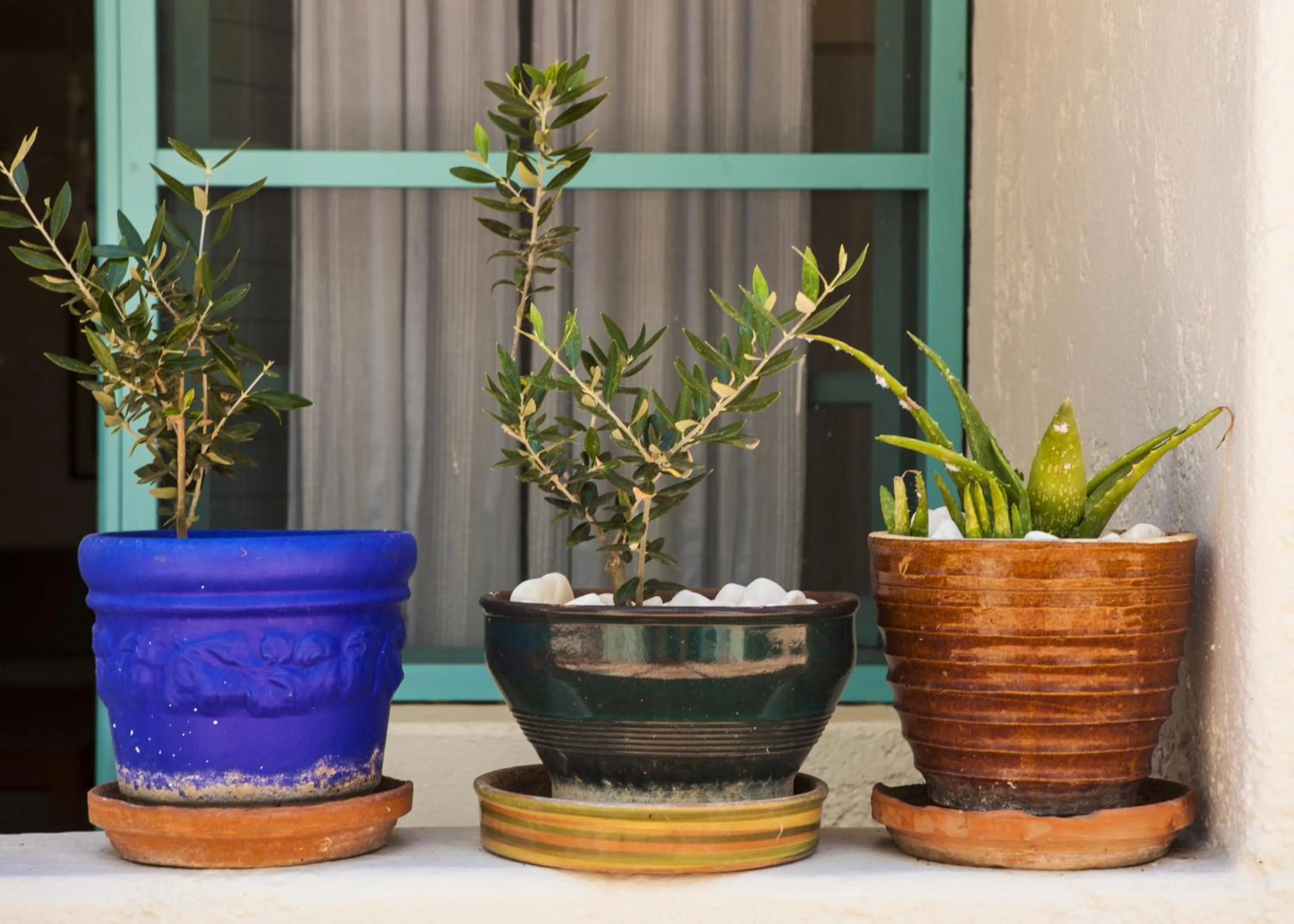 Inner courtyard view in Villa Iokasti