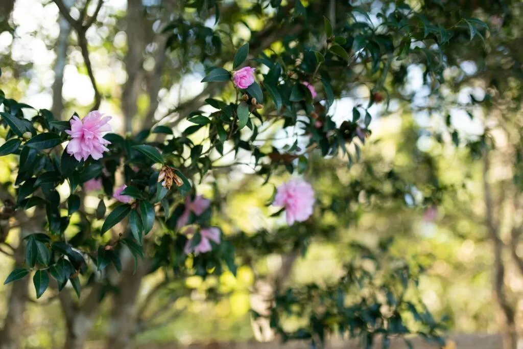 Relaxing 5-Bedroom Villa with Outdoor Oasis