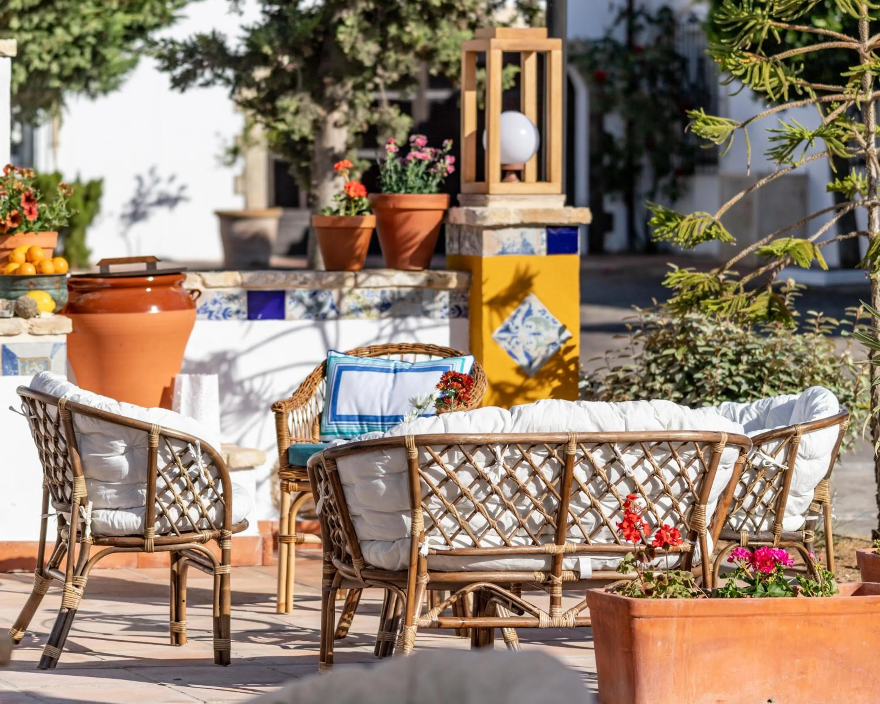 Property building in Puerta de Algadir