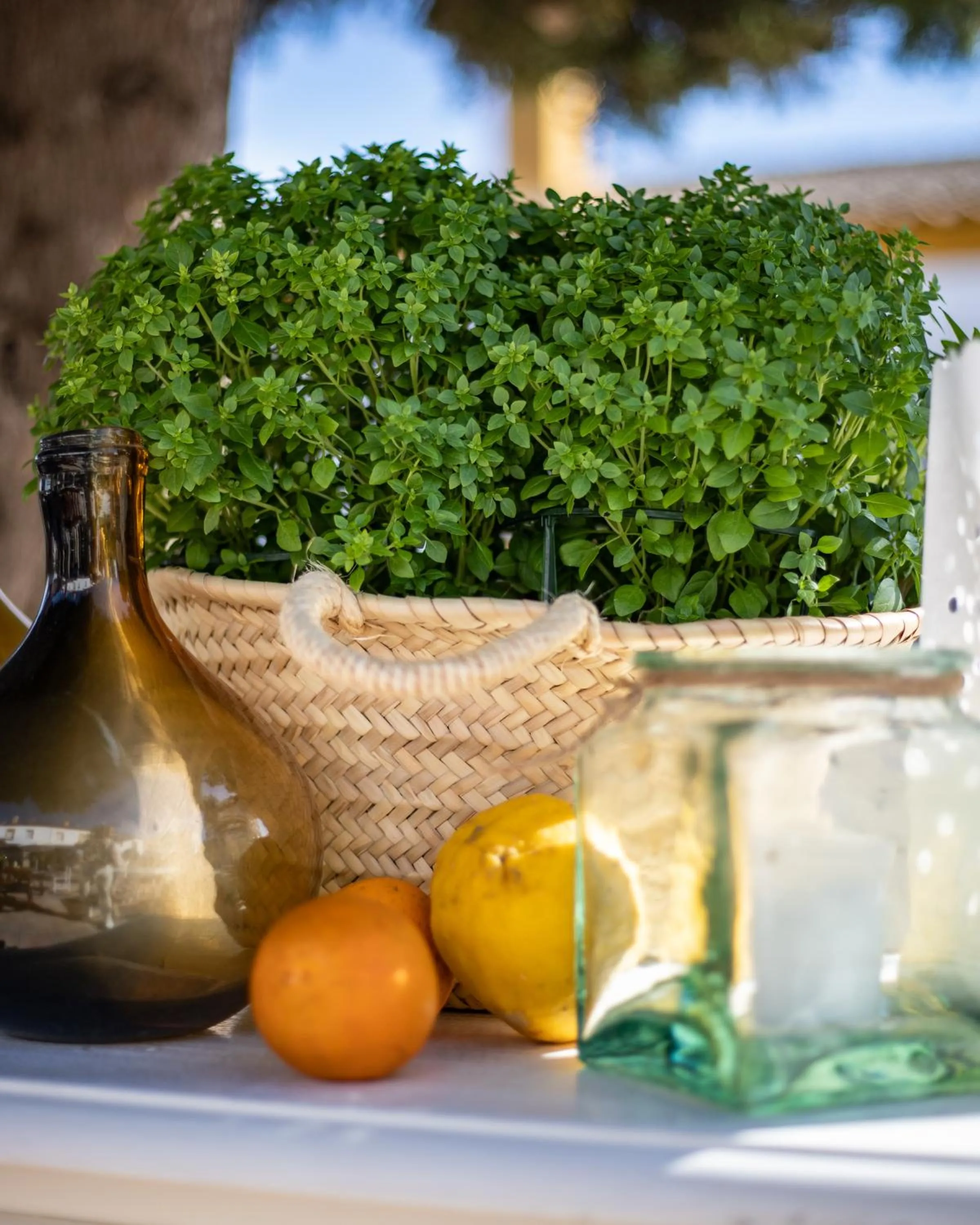 Property building in Puerta de Algadir