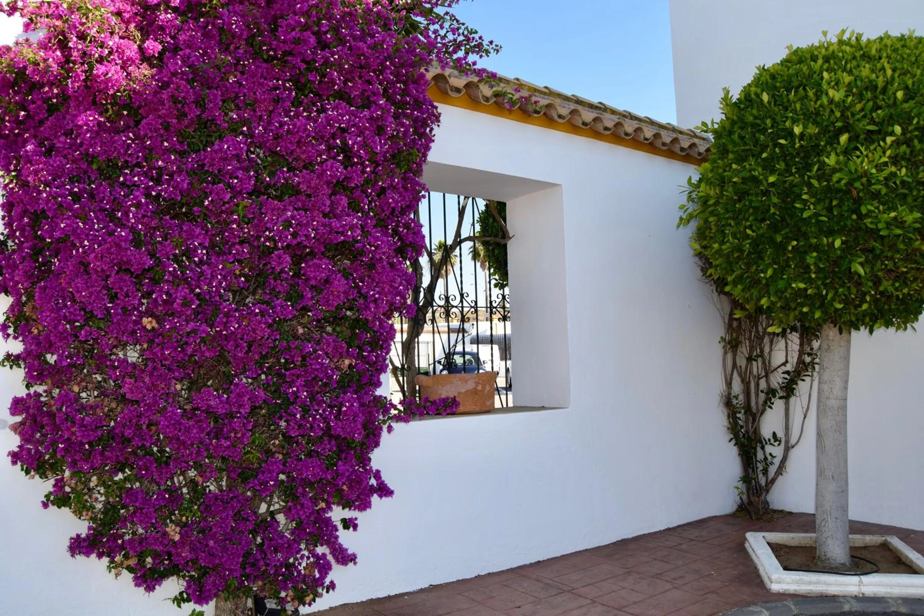 Property building in Puerta de Algadir