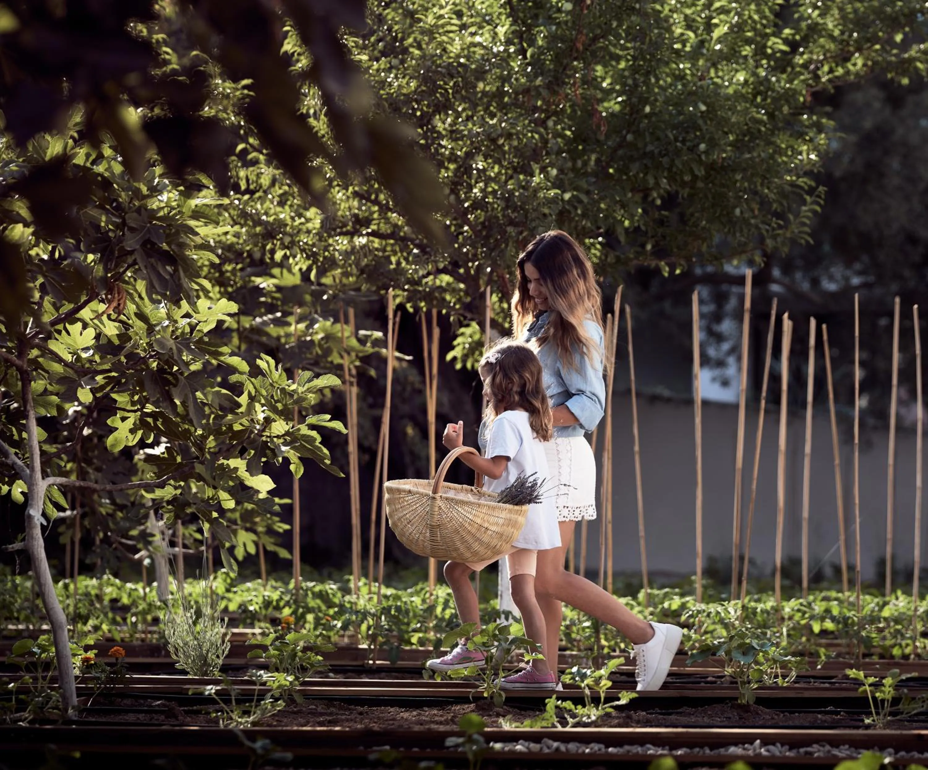 Garden in Contessina Hotel