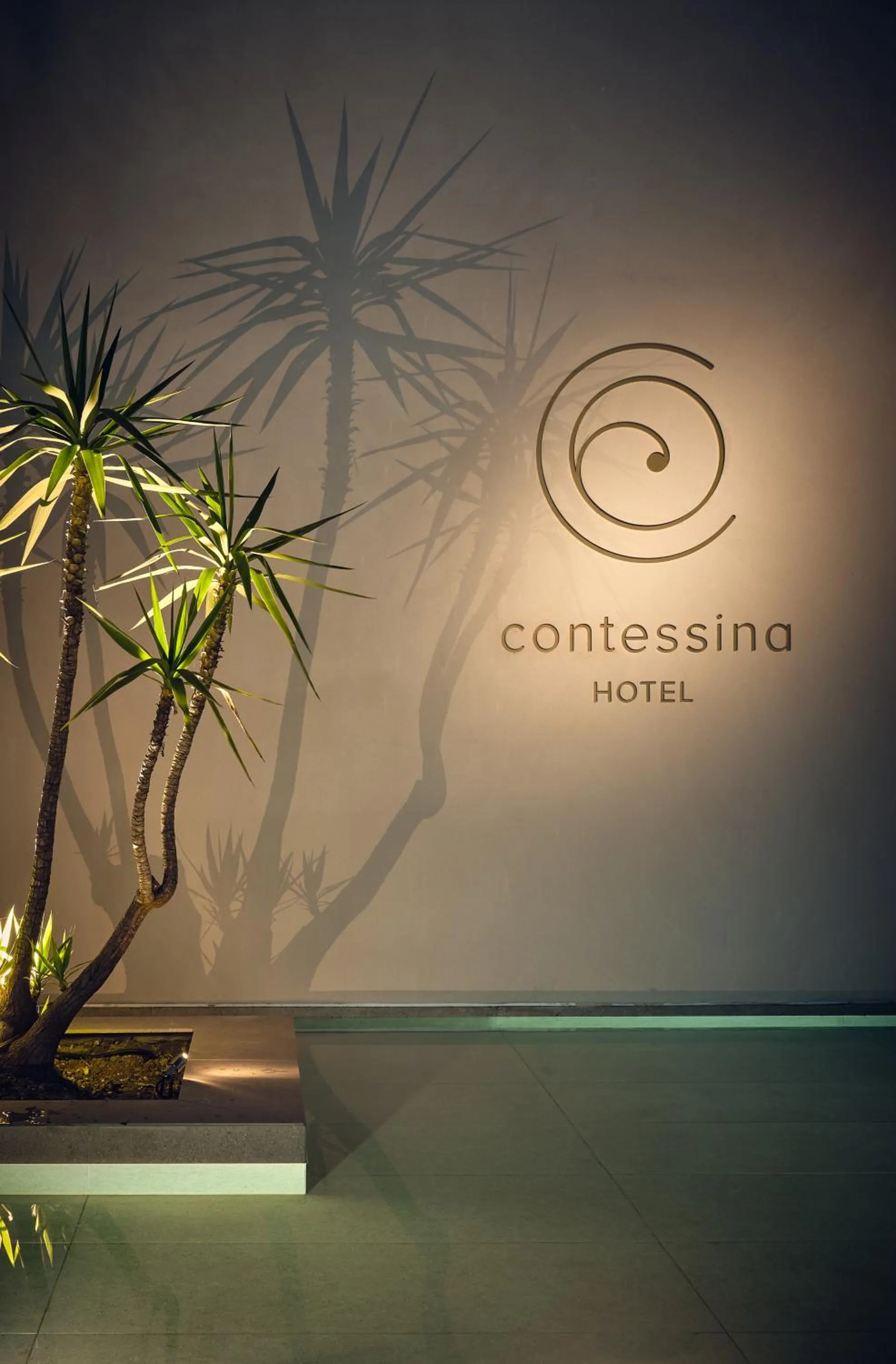 Lobby or reception in Contessina Hotel