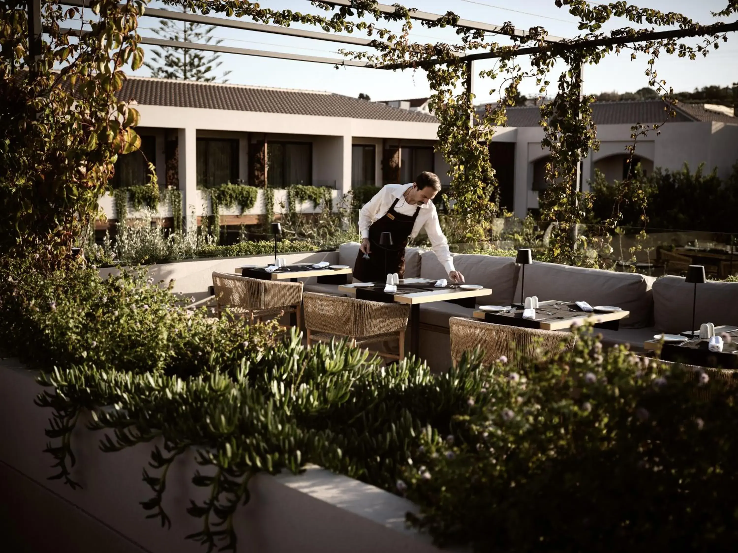 Restaurant/places to eat in Contessina Hotel Restaurant/places to eat in Contessina Hotel