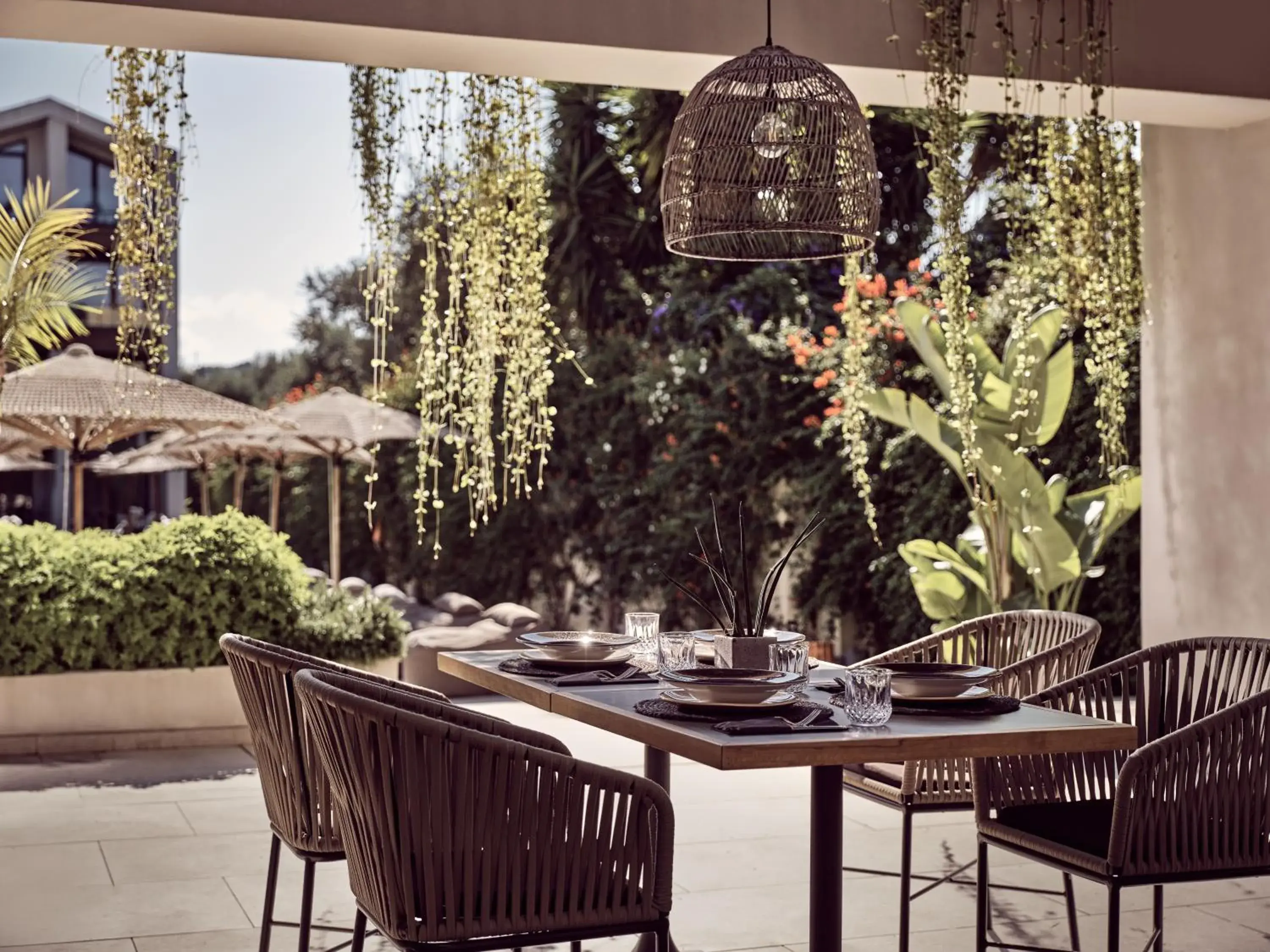 Restaurant/places to eat in Contessina Hotel Restaurant/places to eat in Contessina Hotel