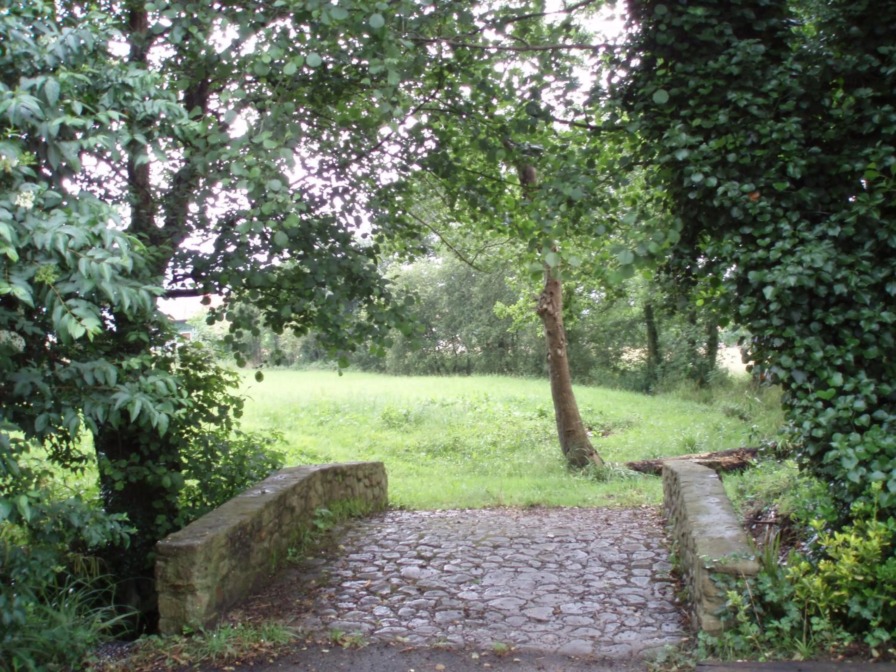 Natural landscape in Posada La Torre de La Quintana