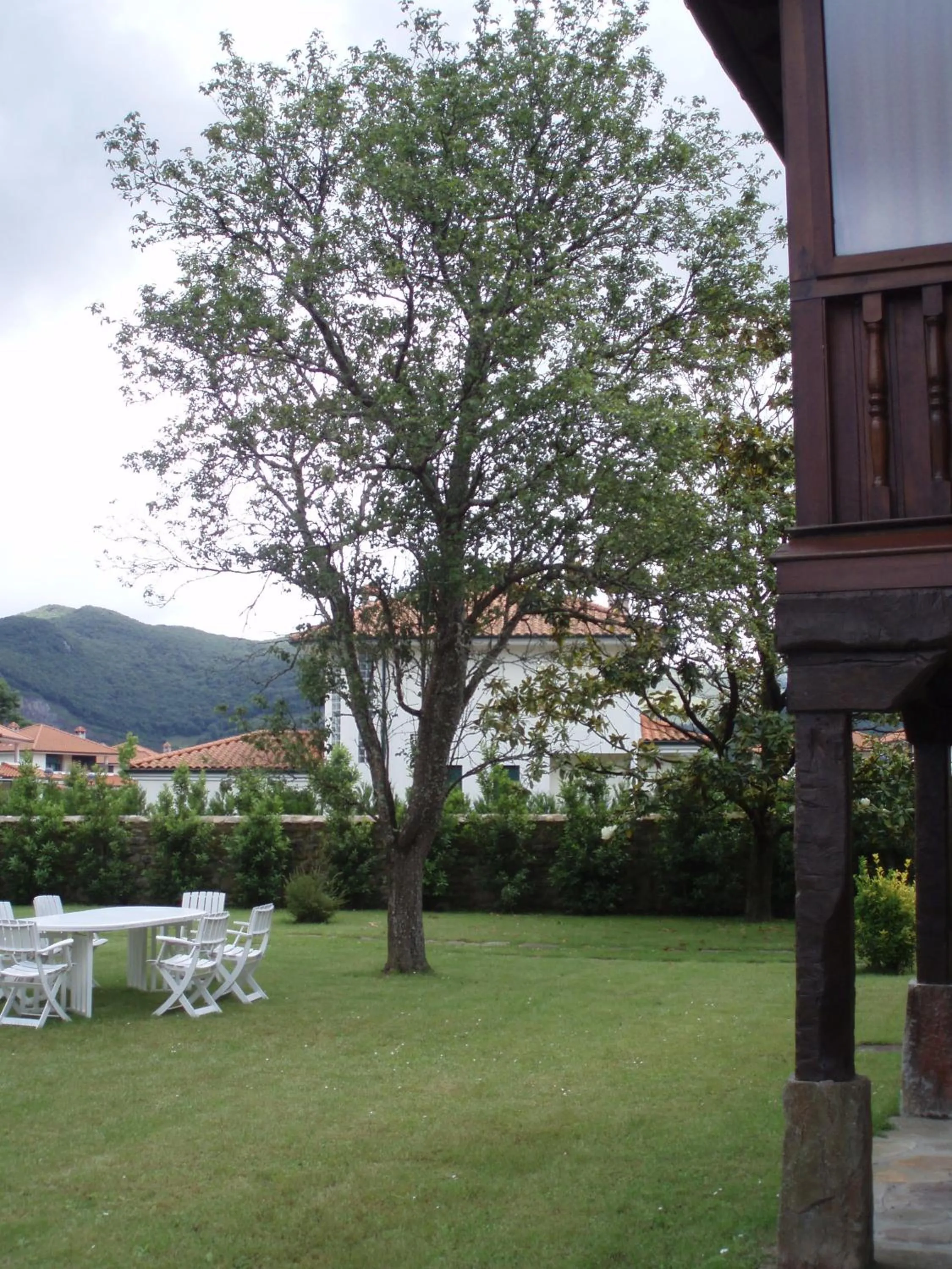 Garden view in Posada La Torre de La Quintana