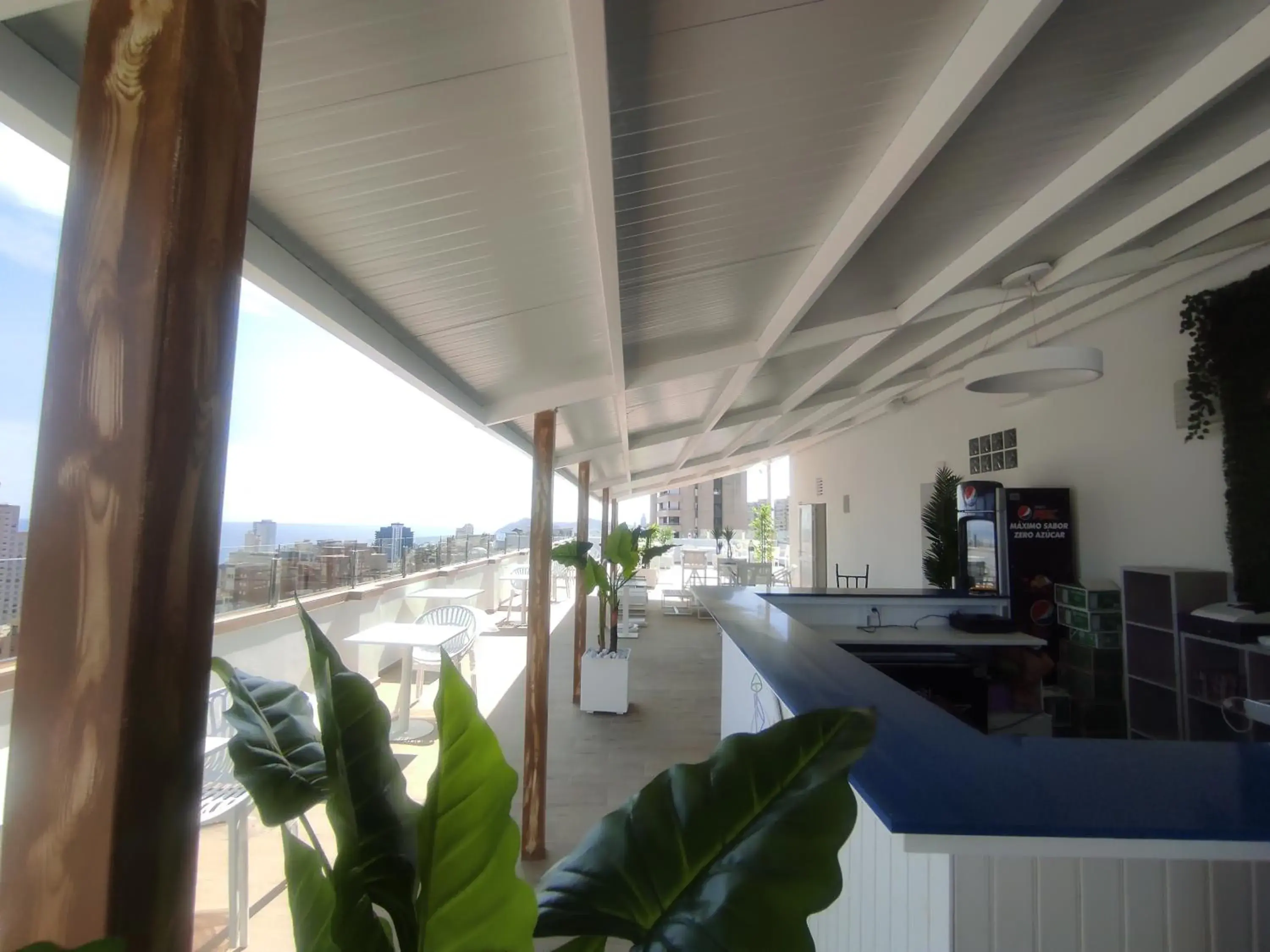 Lounge or bar in Flamingo Beach Resort - Adults Recommended Lounge or bar in Flamingo Beach Resort - Adults Recommended