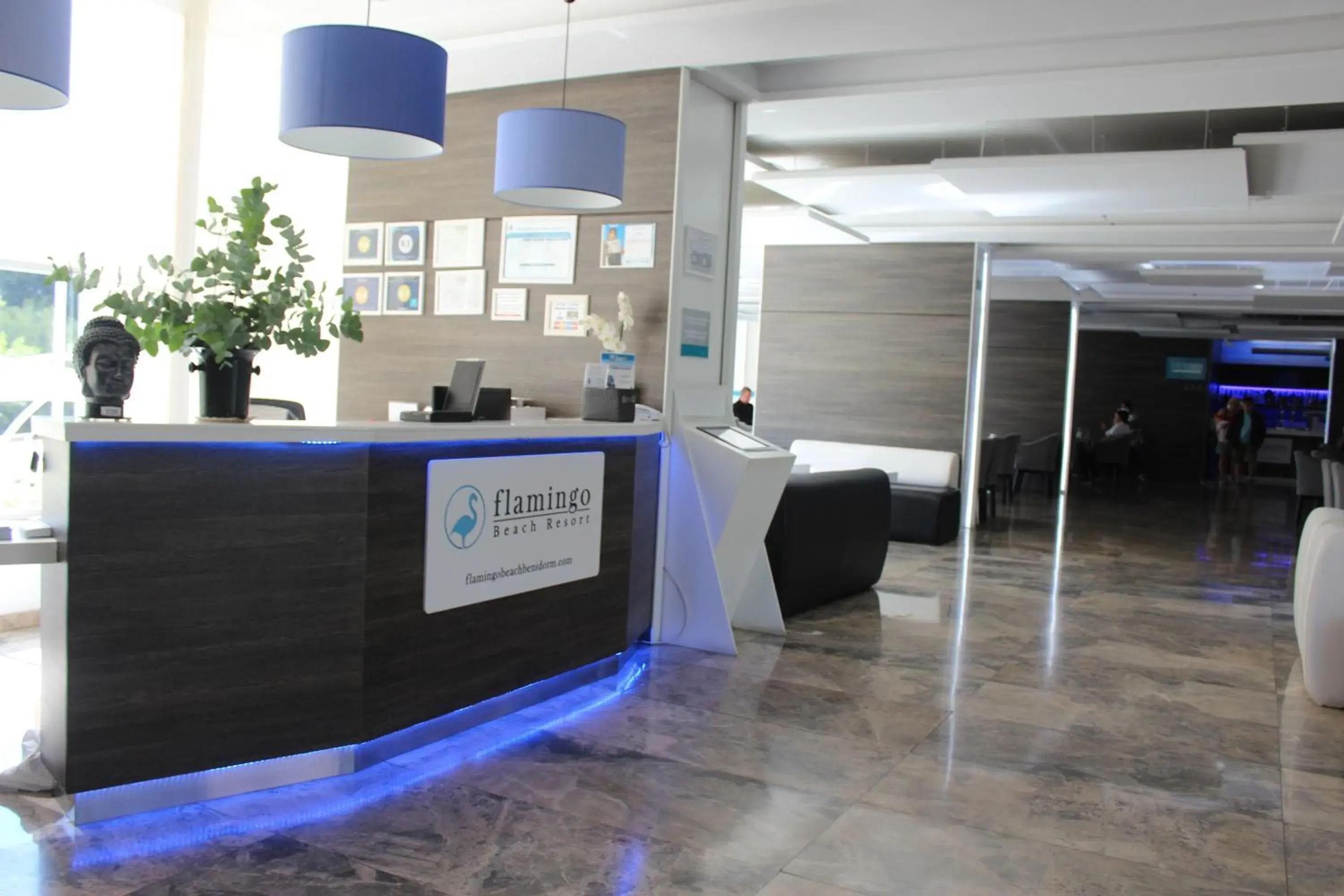 Lobby or reception in Flamingo Beach Resort - Adults Recommended Lobby or reception in Flamingo Beach Resort - Adults Recommended