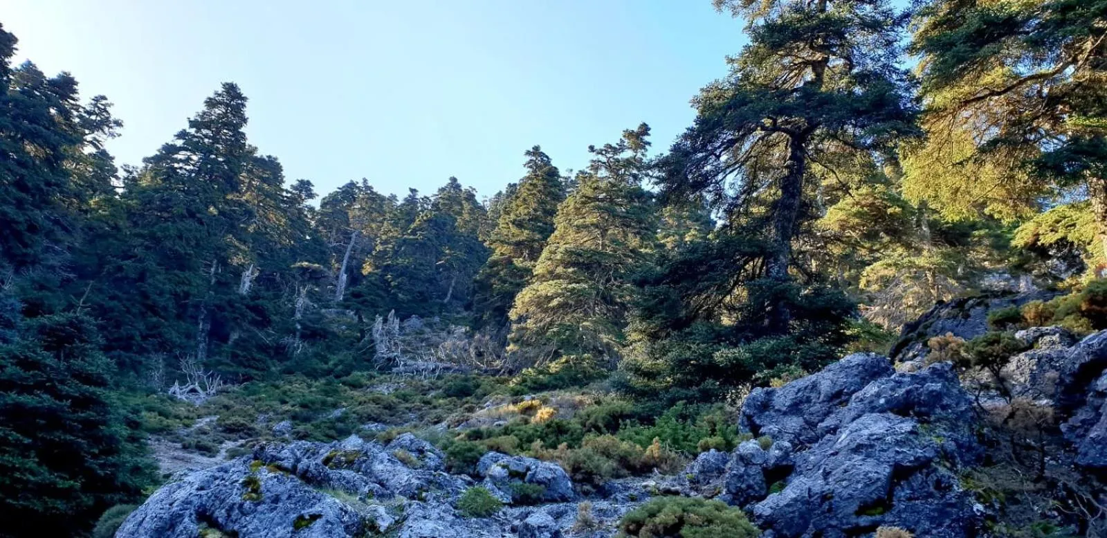 Hotel Sierra Hidalga