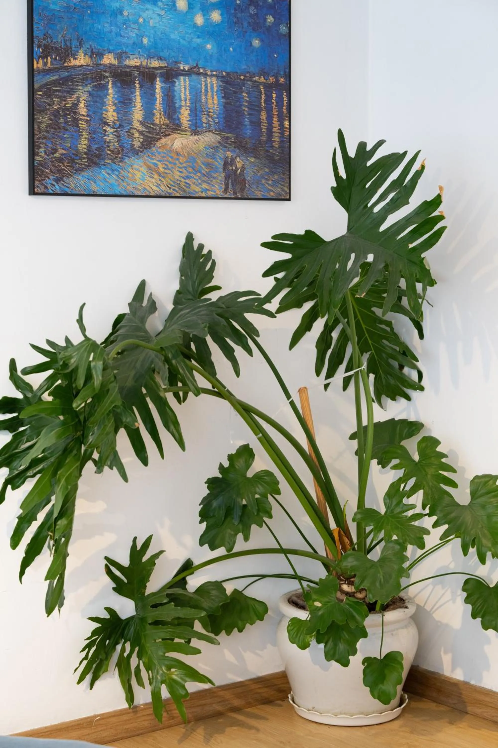 Decorative detail in AMIGO Luxury Palace- Cạnh Chợ Đêm Đà Lạt