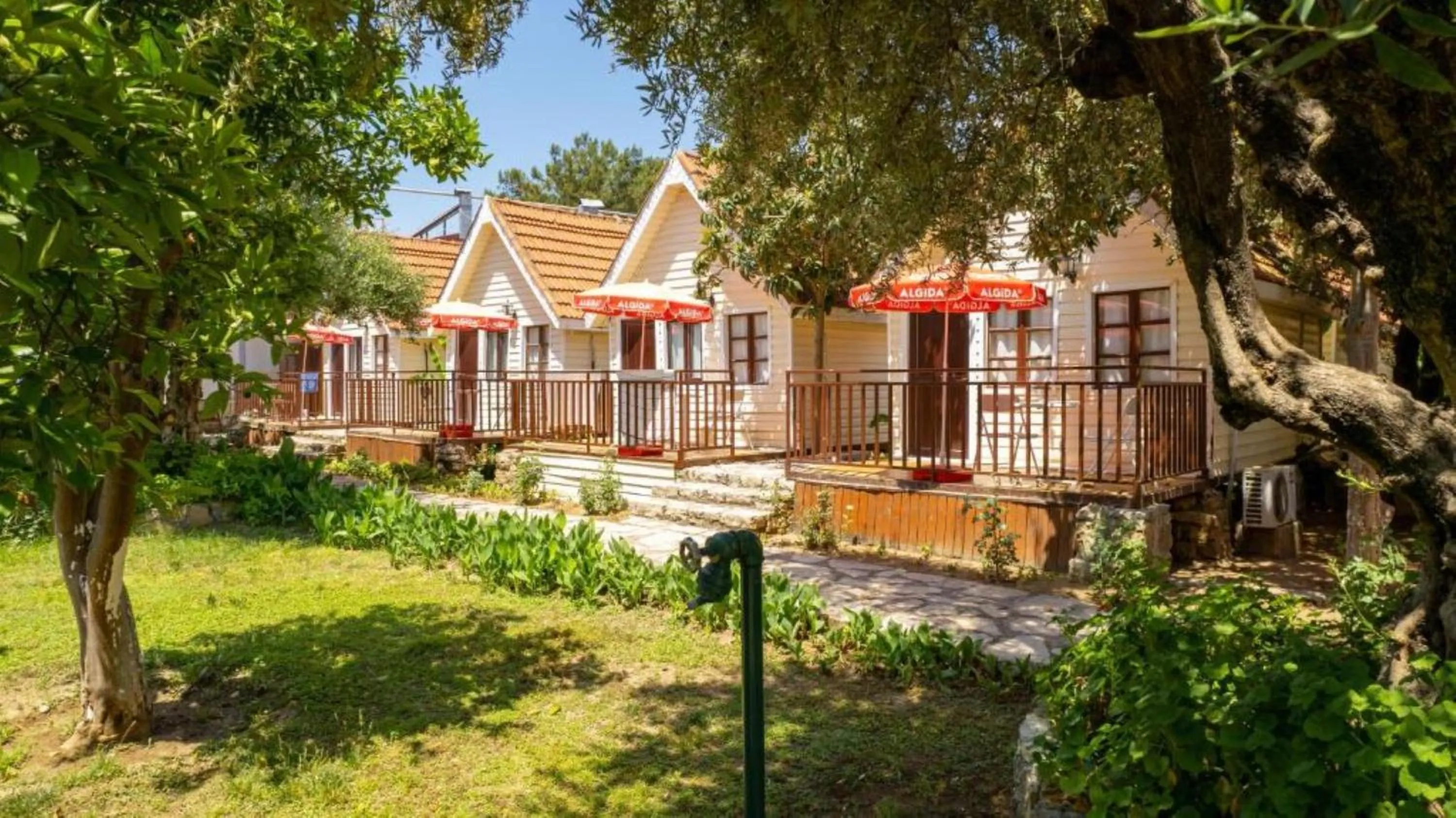 Spring in Clover Magic Nova Beach Hotel