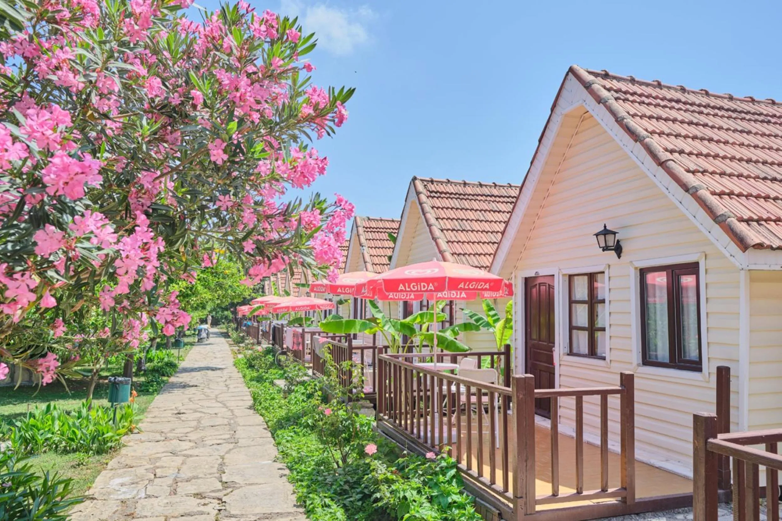 Property building in Clover Magic Nova Beach Hotel