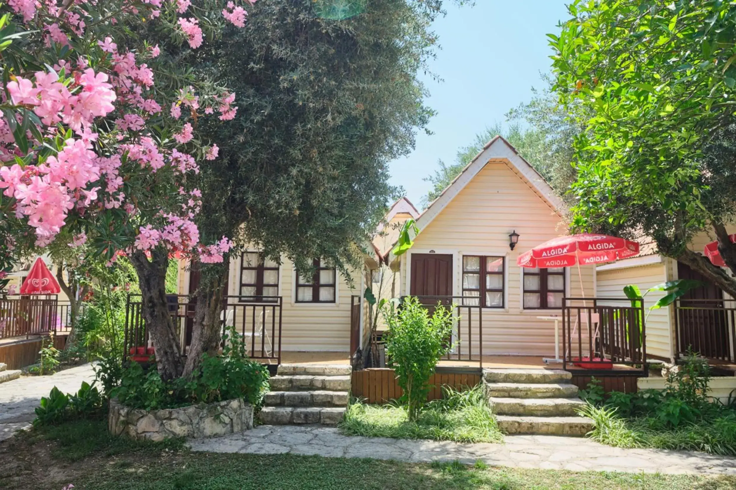 Facade/entrance in Clover Magic Nova Beach Hotel Facade/entrance in Clover Magic Nova Beach Hotel