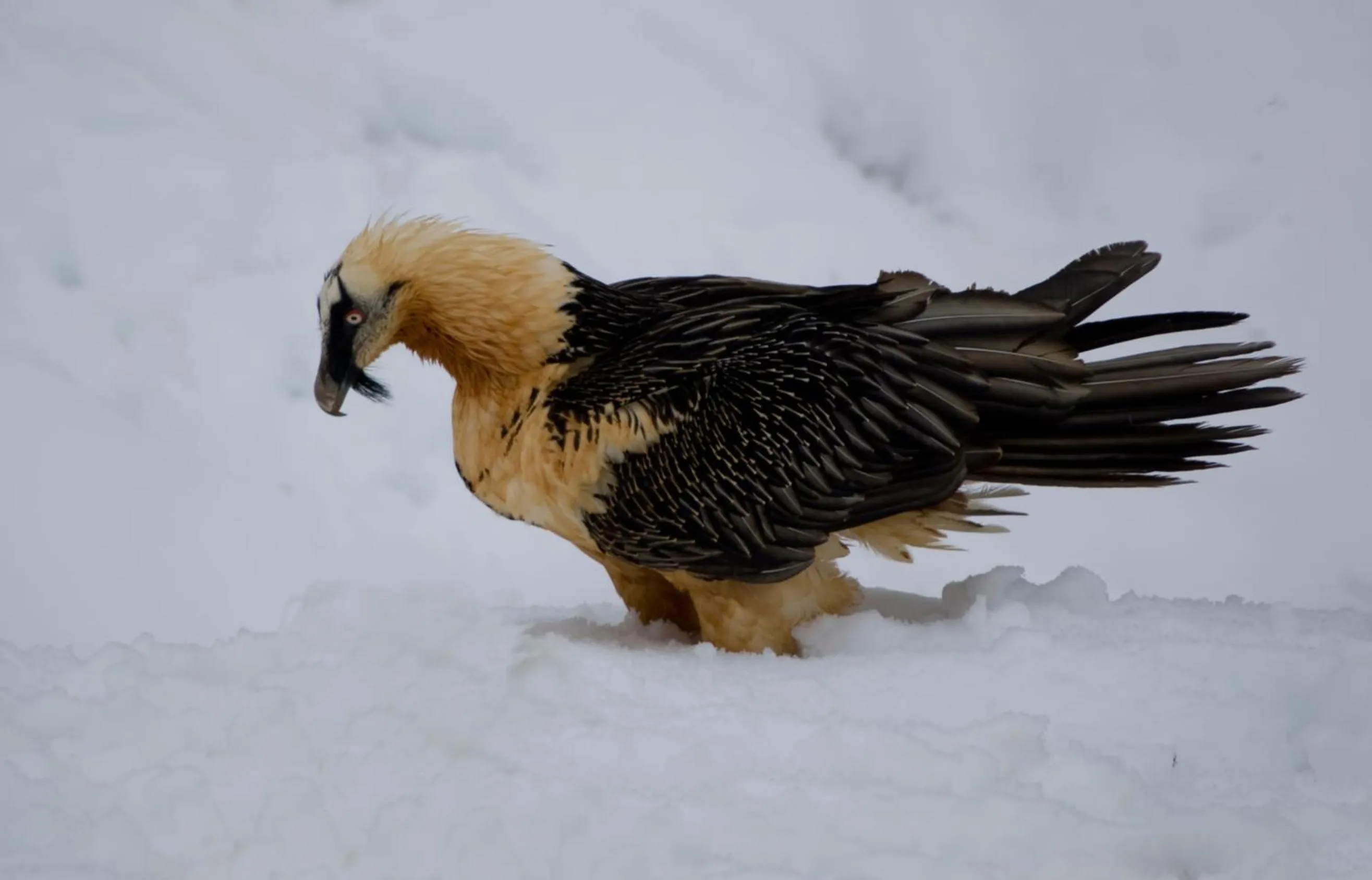 View (from property/room) in Los Arcos