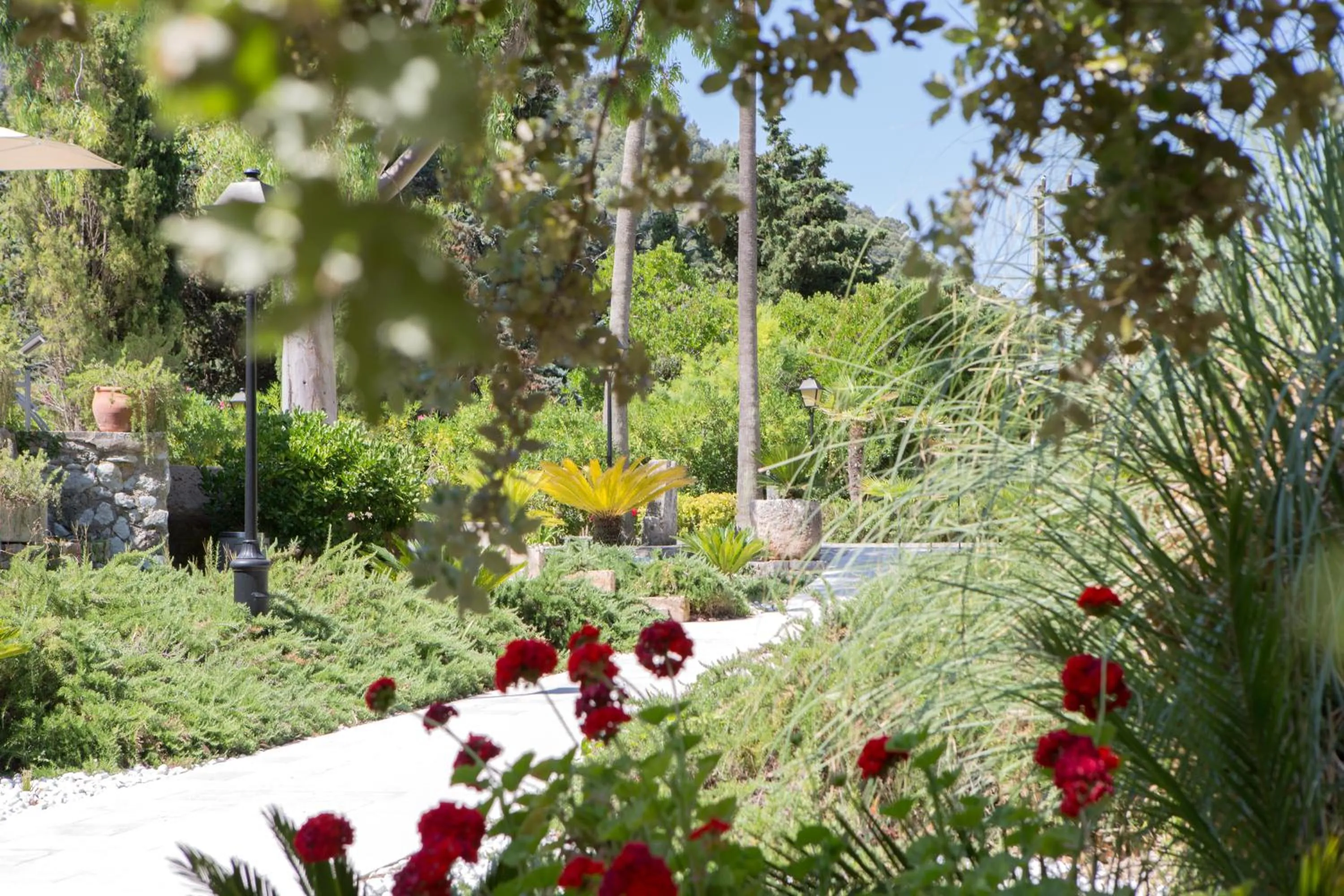 Garden in L’Hermitage Hotel & Spa