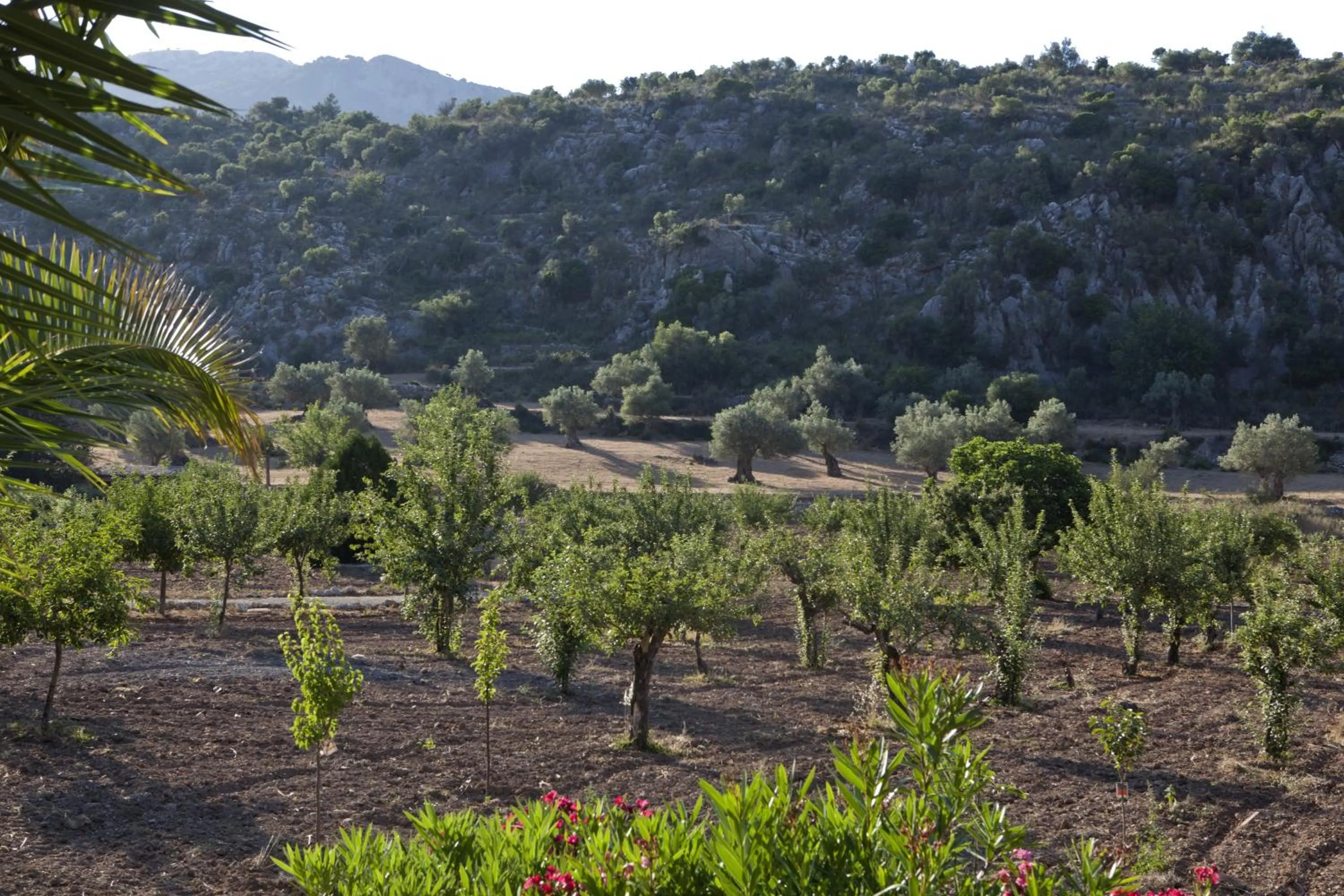 Area and facilities in L’Hermitage Hotel & Spa