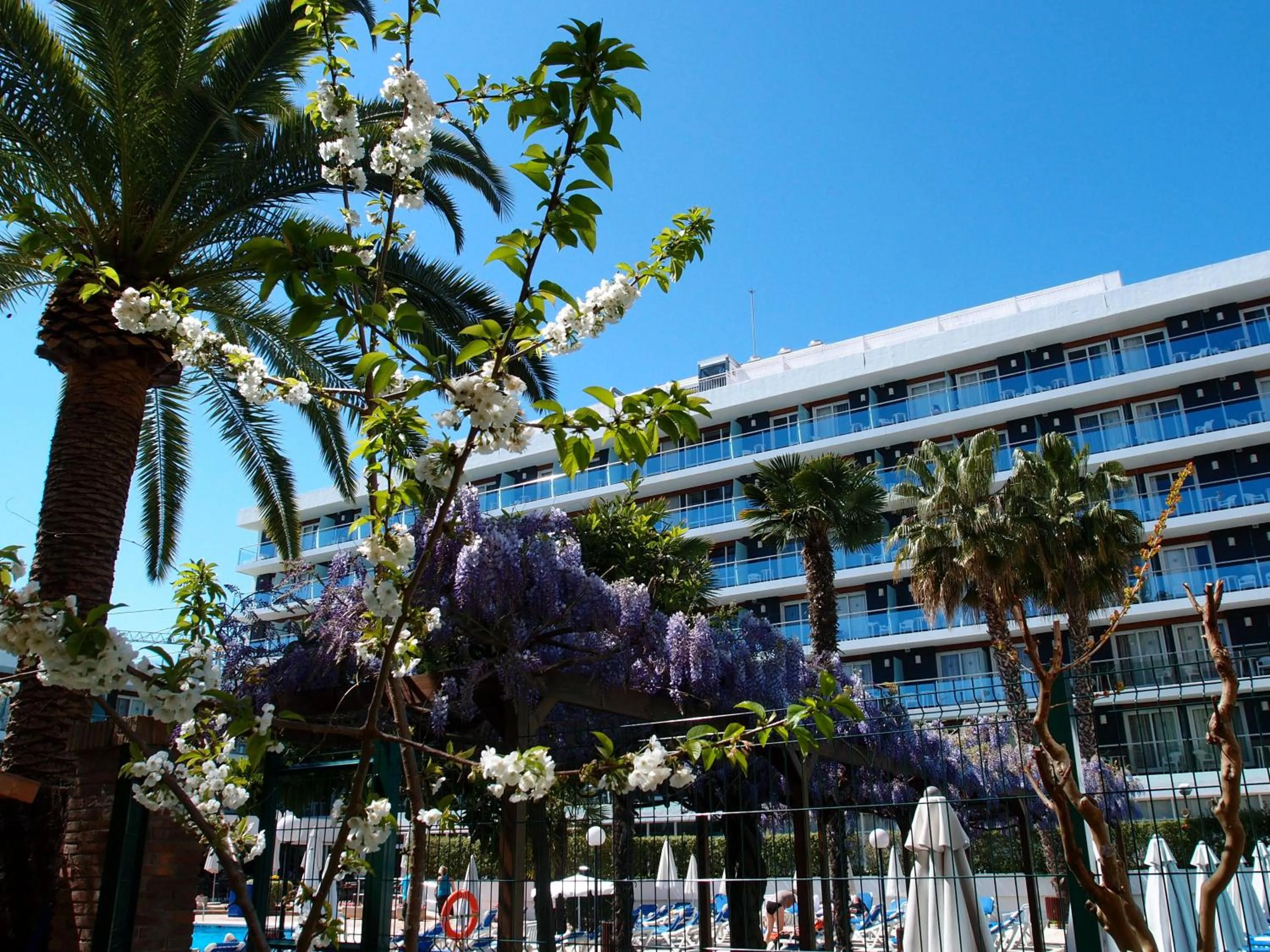 Facade/entrance in Hotel Anabel