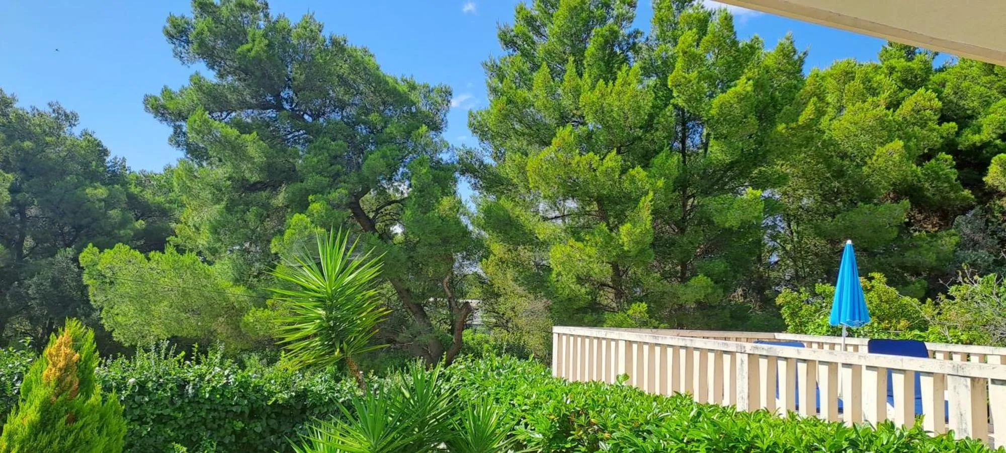Natural landscape in VILLA MARE