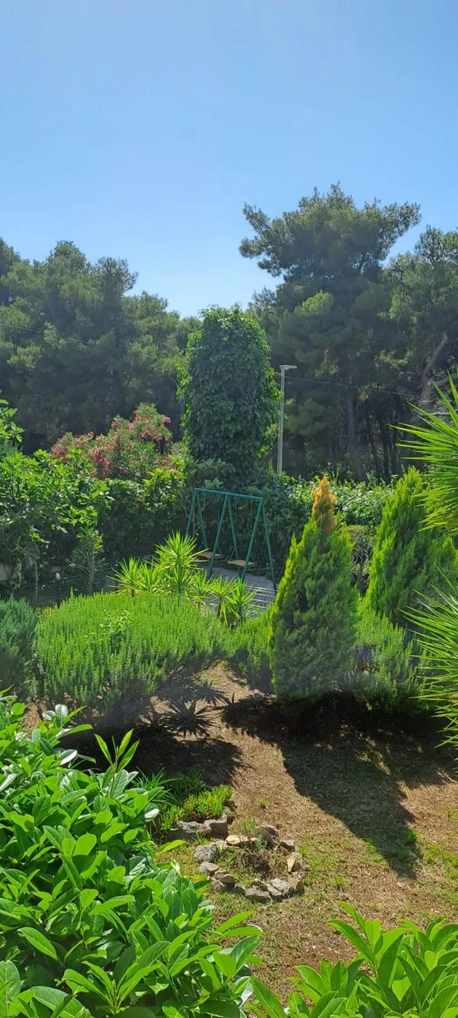 Natural landscape in VILLA MARE