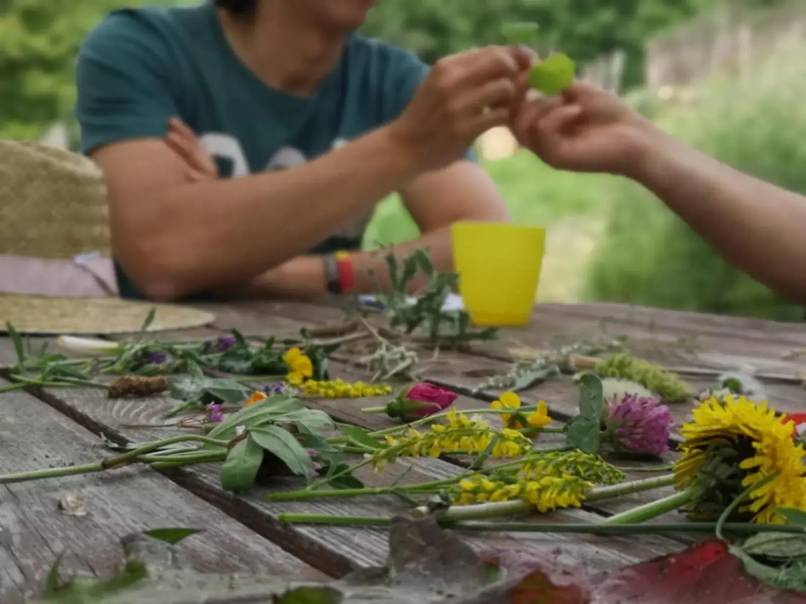 Food and drinks in Cerdanya Viva Ecoestades Food and drinks in Cerdanya Viva Ecoestades