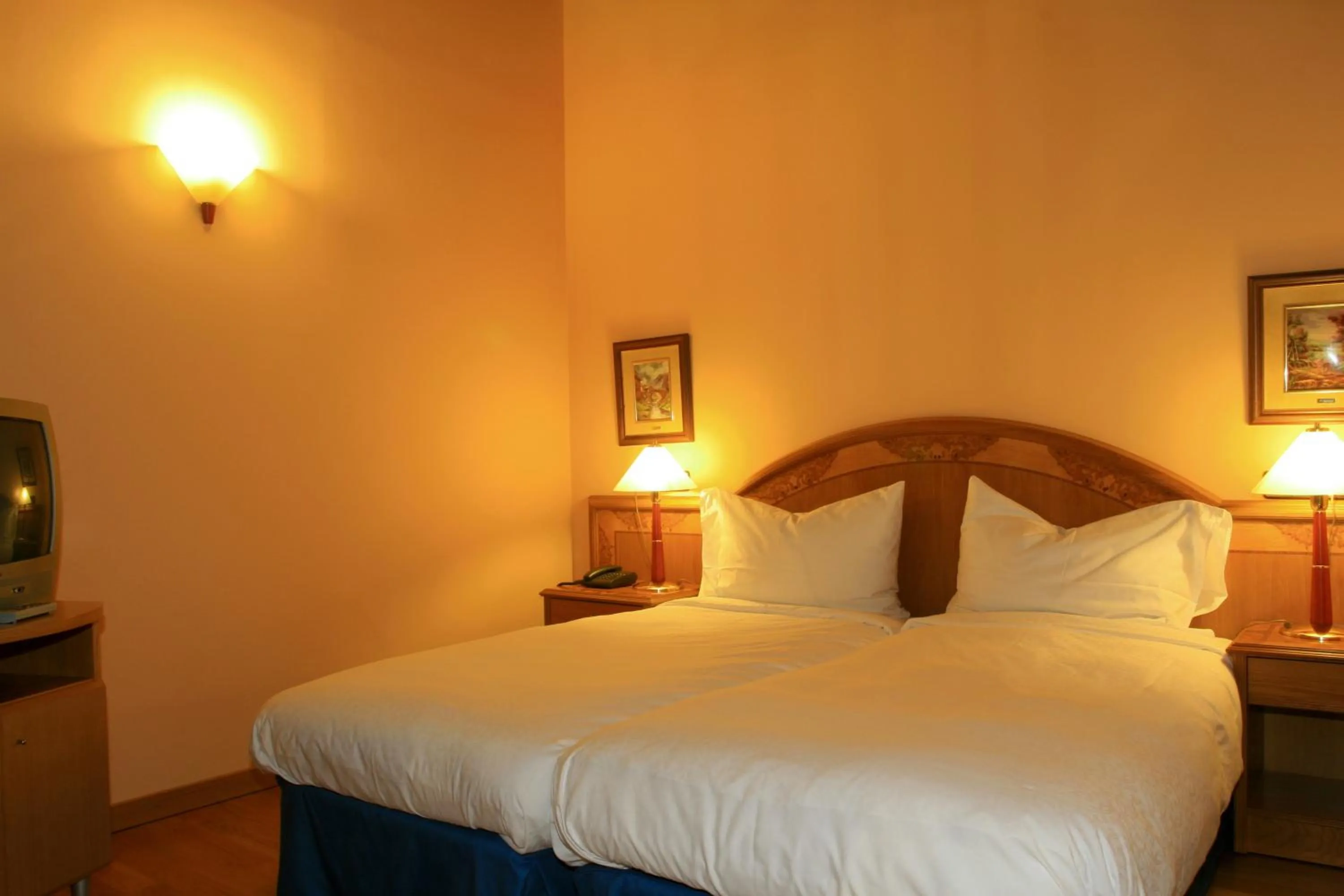 Superior Twin Room - Access to the Spa Circuit Included (According to schedule) in Cerdanya Viva Ecoestades