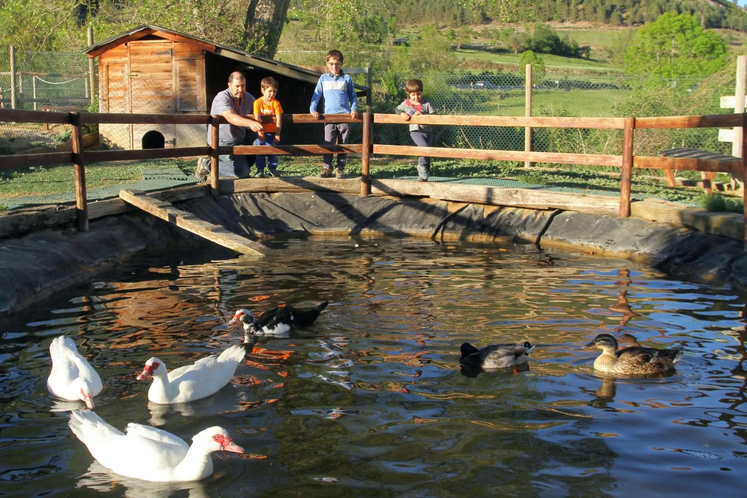 Activities in Cerdanya Viva Ecoestades