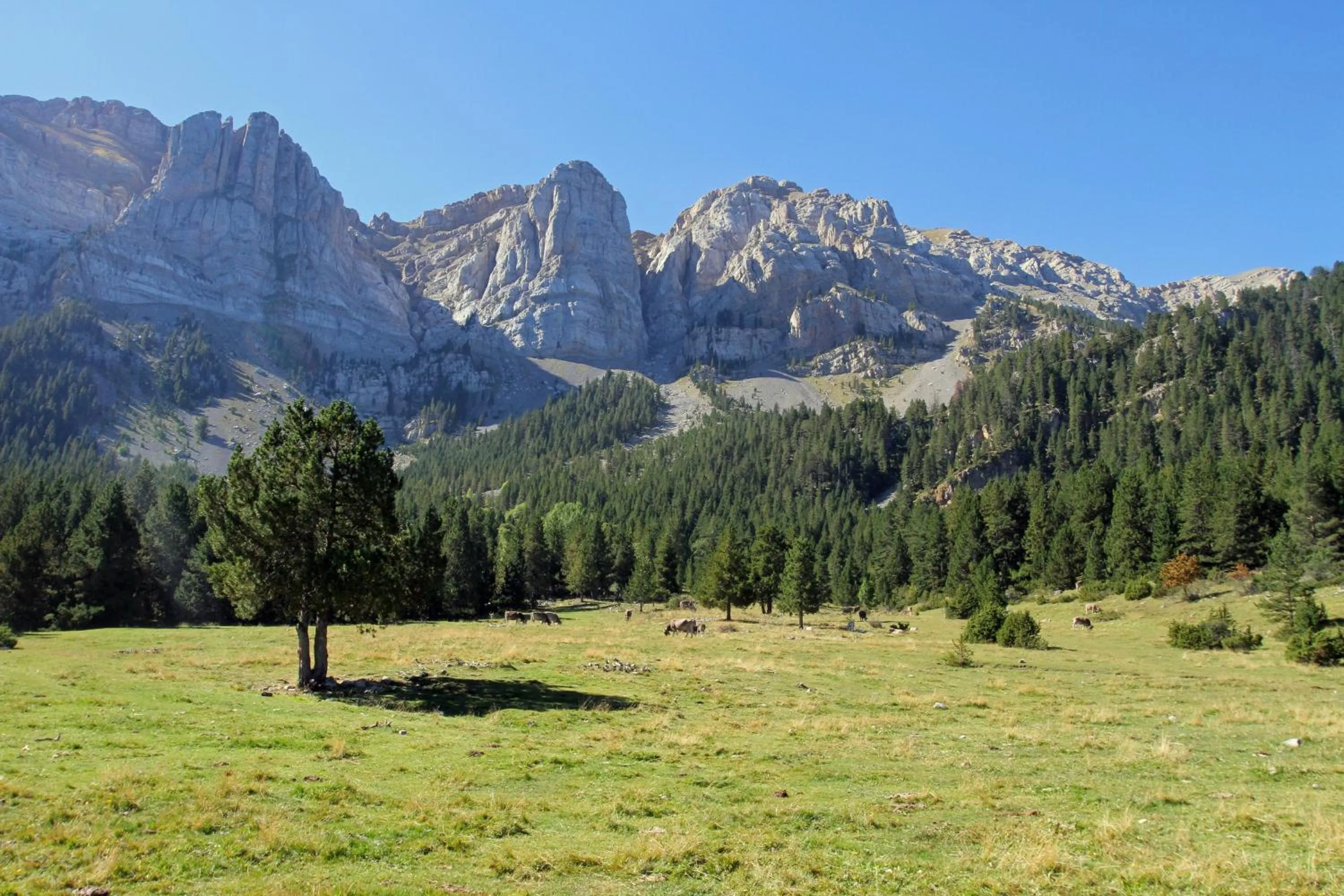 Hiking in Cerdanya Viva Ecoestades